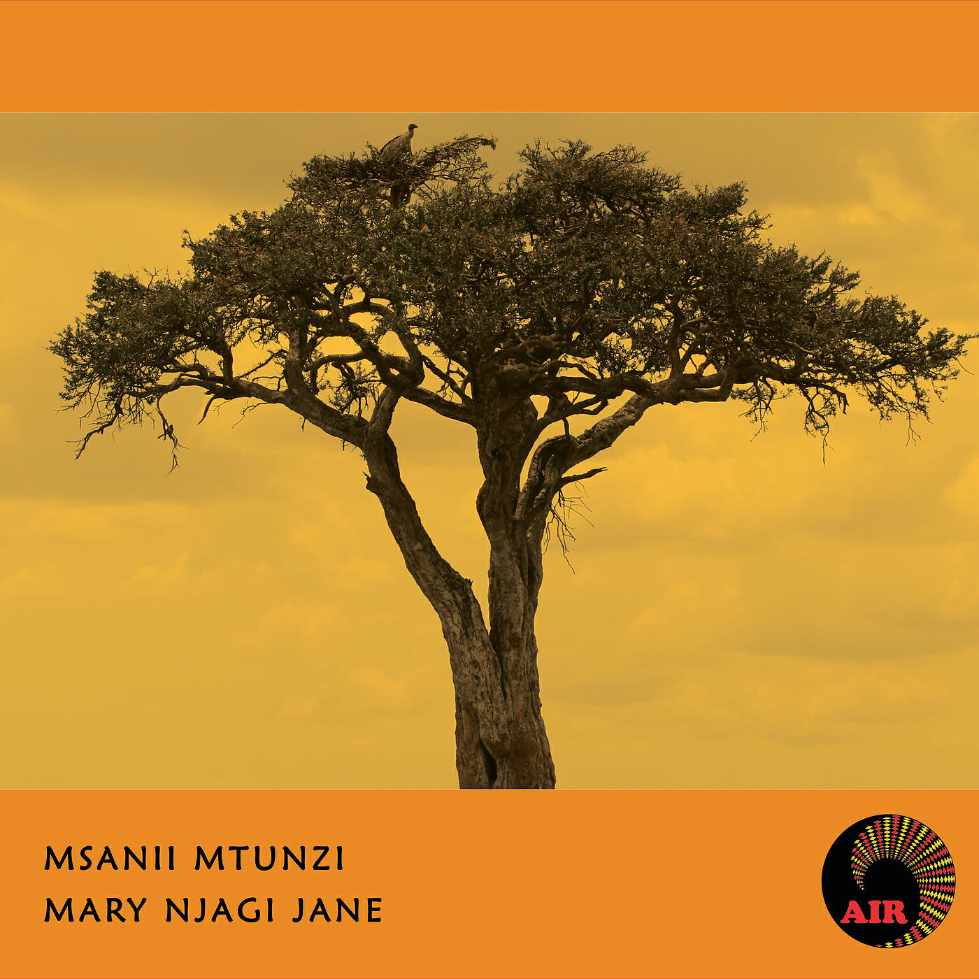 Релиз Mary Njagi Jane