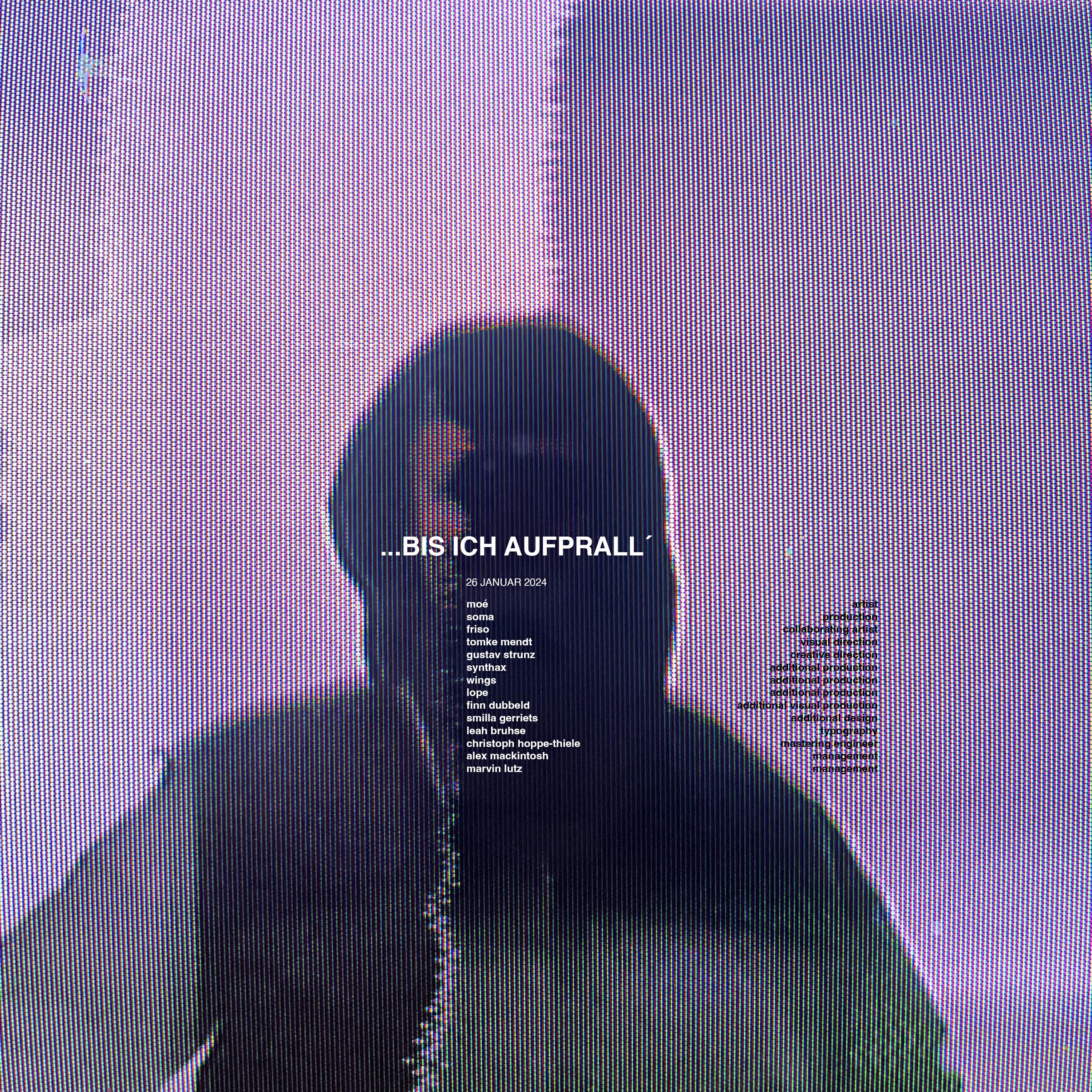 Релиз ...bis ich aufprall'