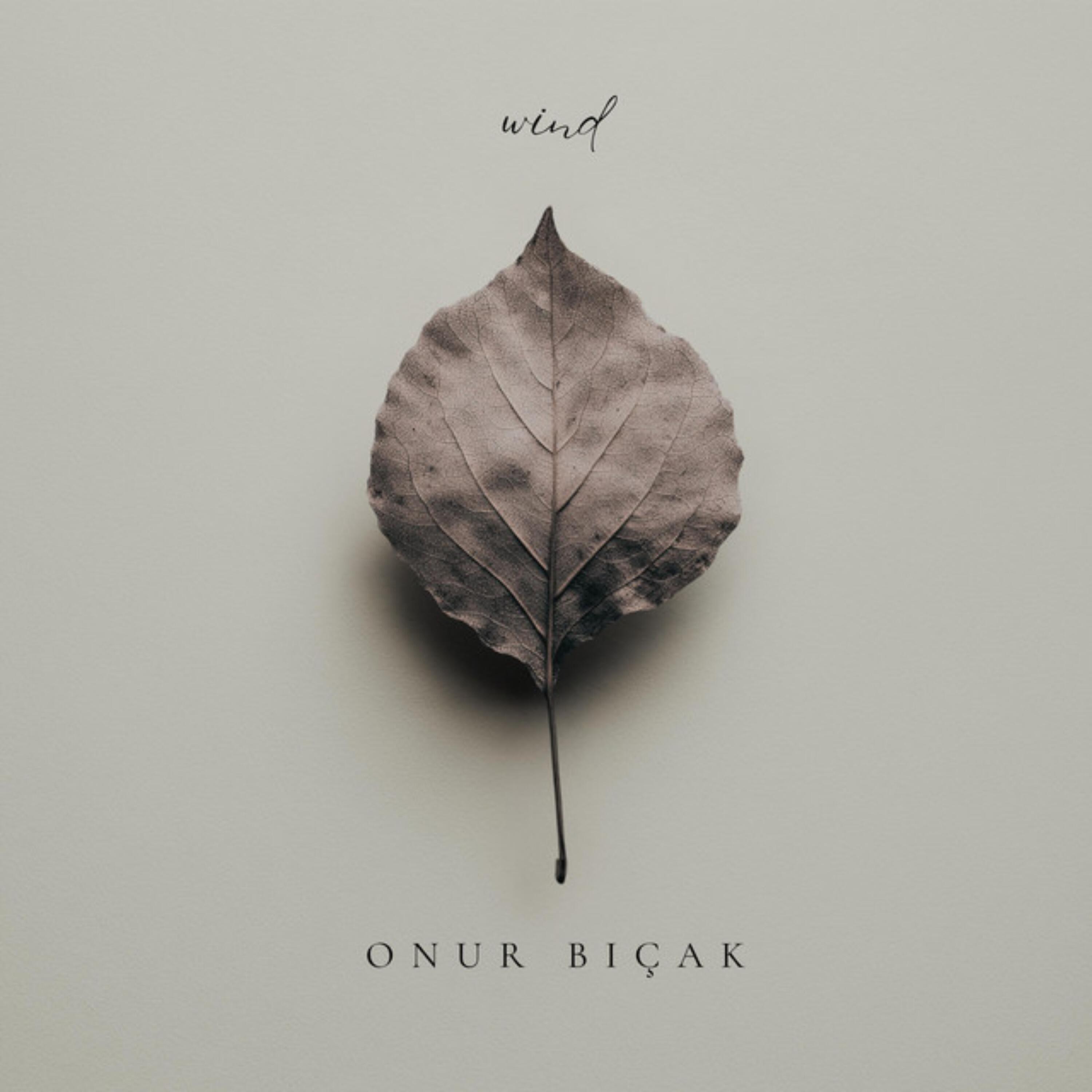 Onur Bıçak