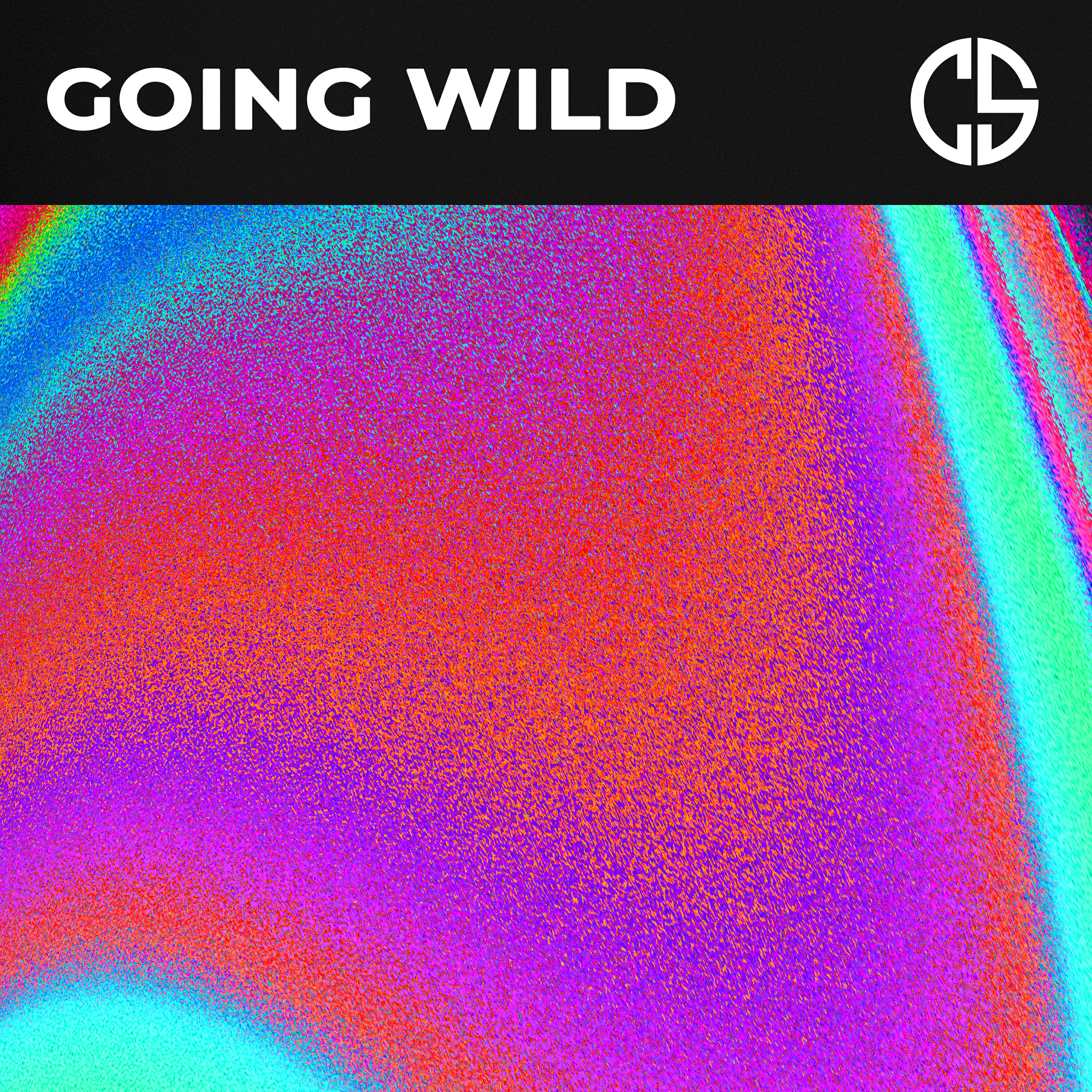 Релиз Going Wild