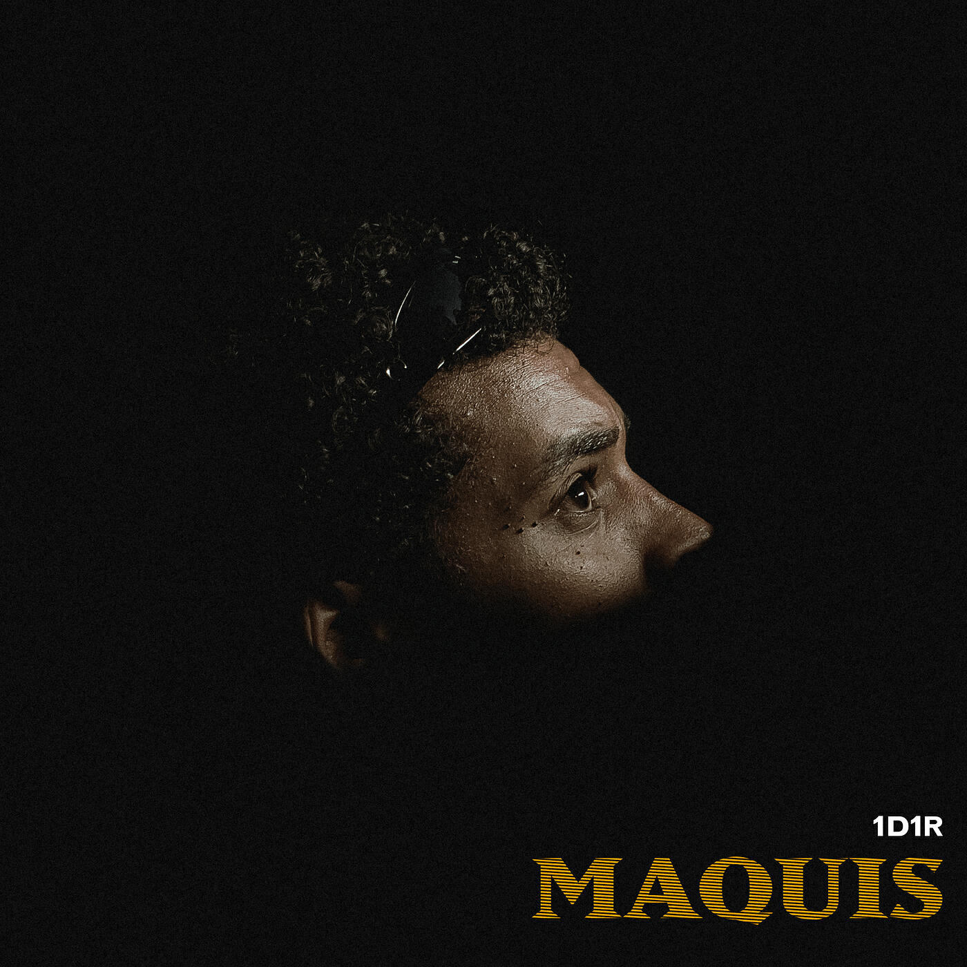Релиз Maquis
