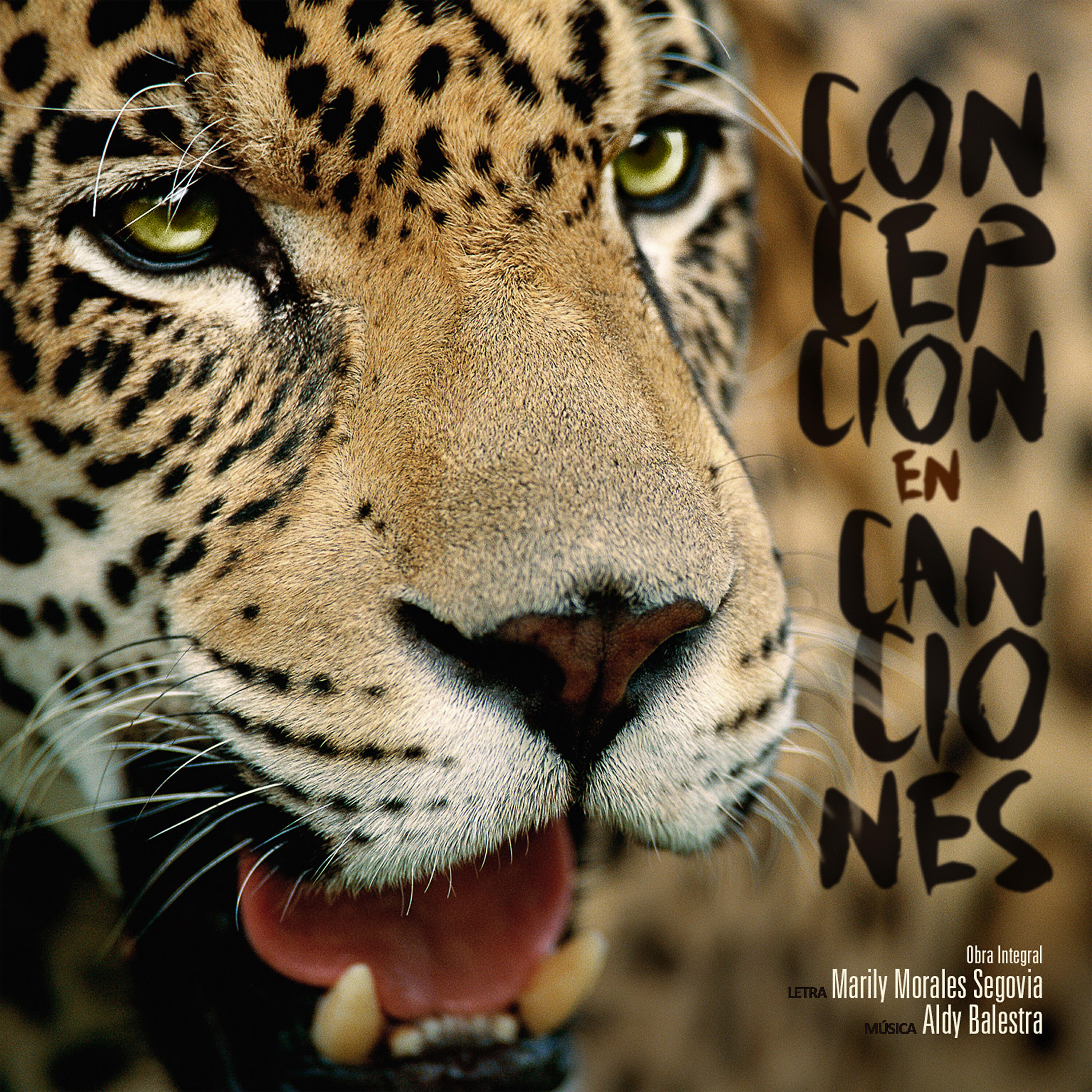 Релиз Concepción en Canciones