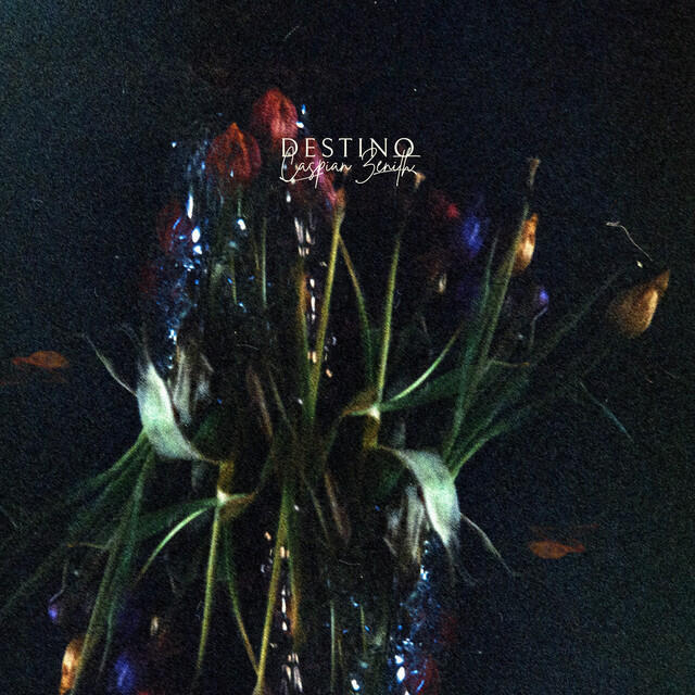 Постер альбома Destino