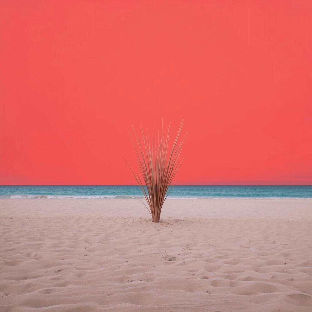 Релиз We Watch the Sun up in the Sky