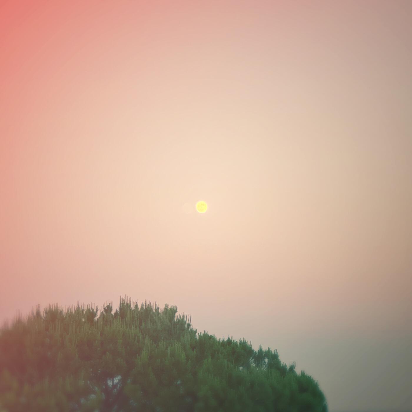 Релиз Gloaming