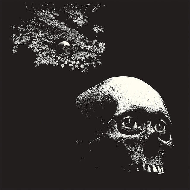 Релиз A Foul Form