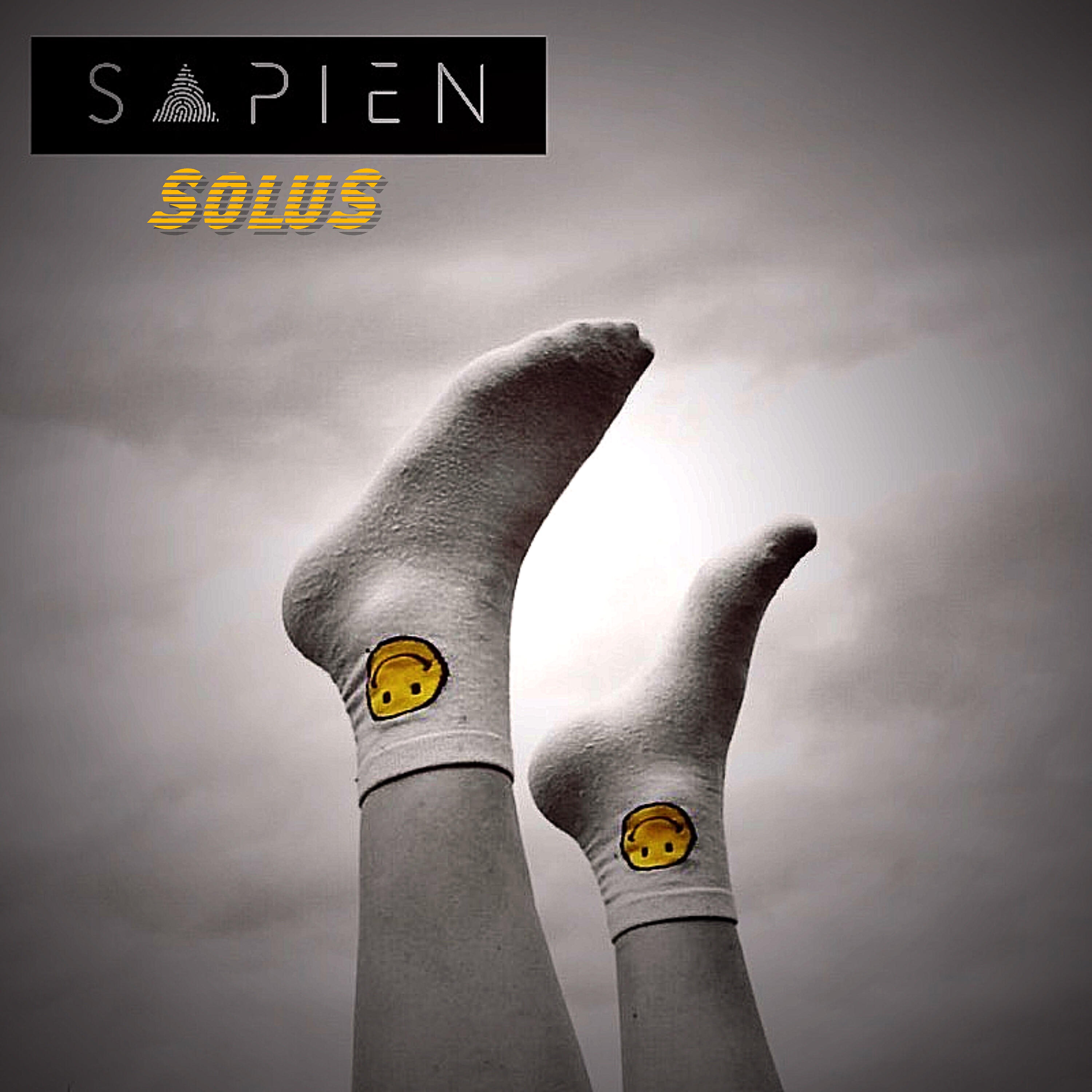 Релиз Solus