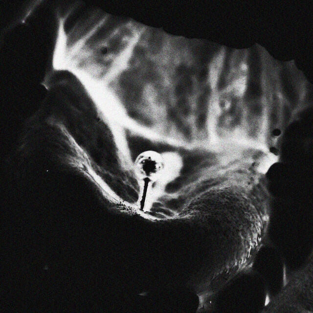 Релиз Contortion