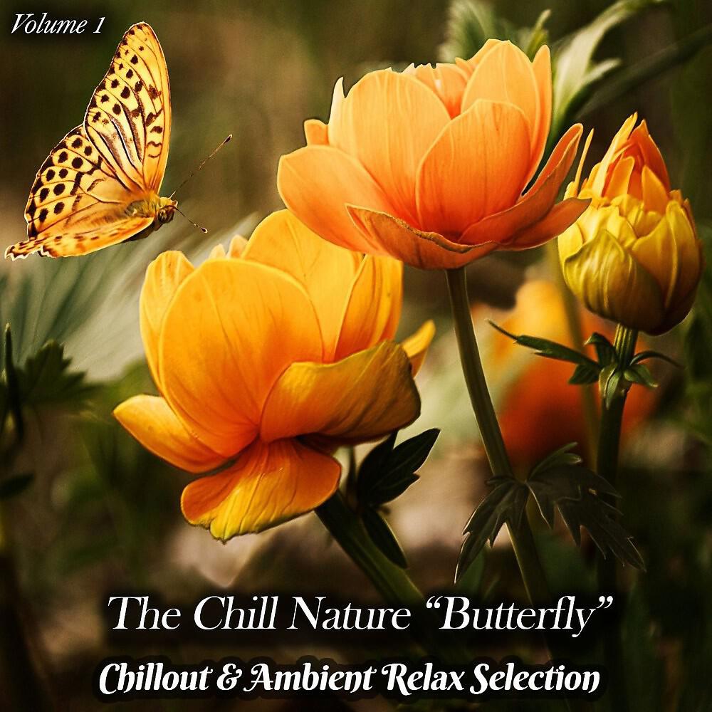 Релиз The Chill Nature "Butterfly", Vol. 1 (Chillout & Ambient Relax Selection)