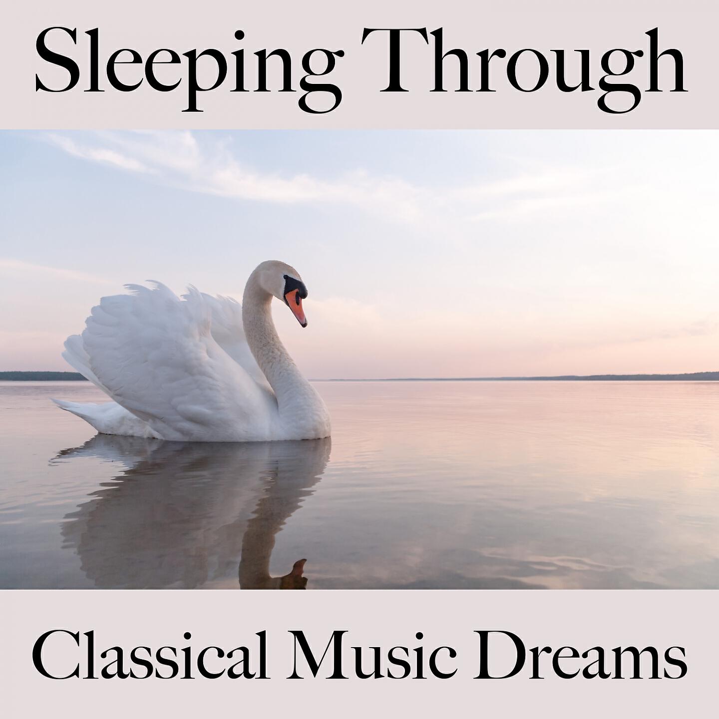 Релиз Sleeping Through: Classical Music Dreams - The Best Music For Relaxation