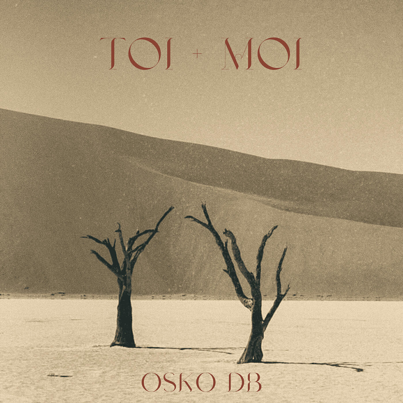 Релиз Toi + Moi