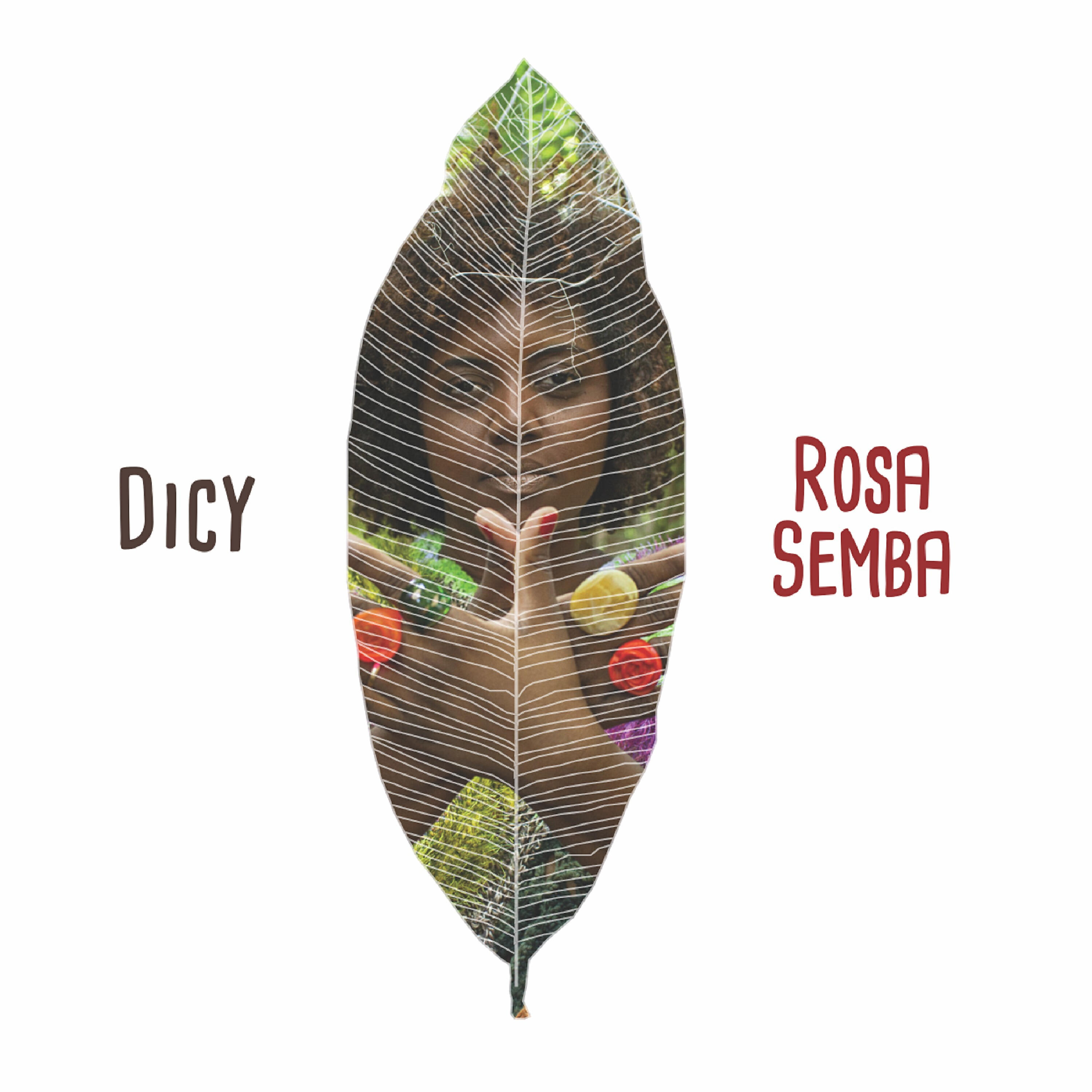 Релиз Rosa Semba