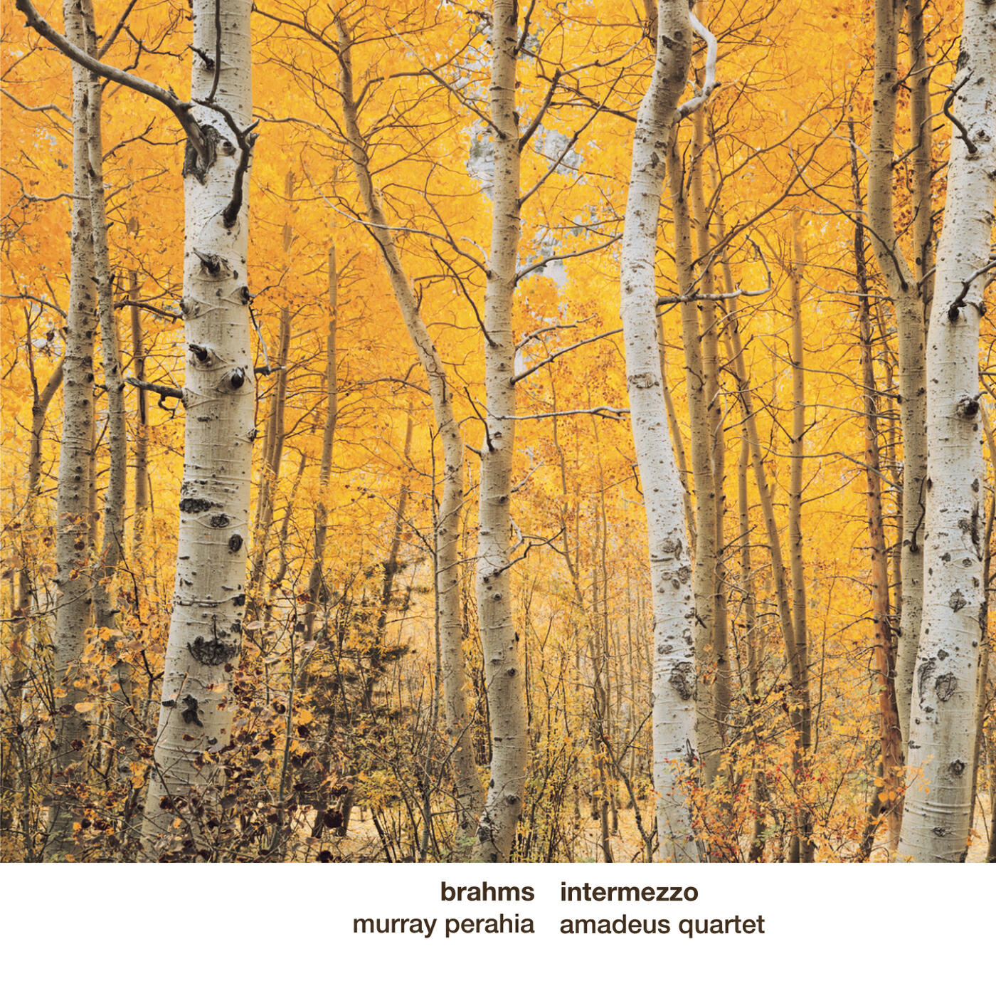 Релиз Brahms: Intermezzo