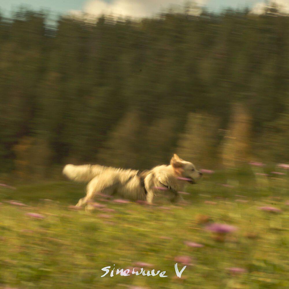 Релиз Sinewave V