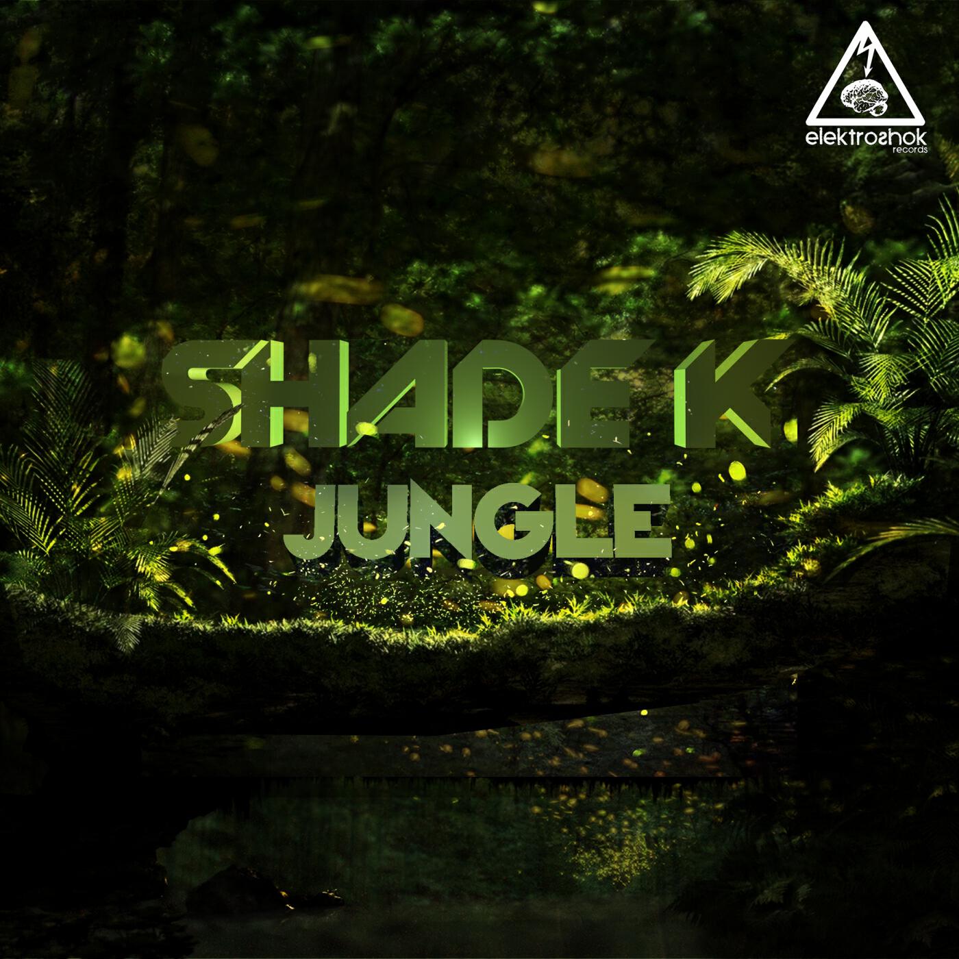 Релиз Jungle
