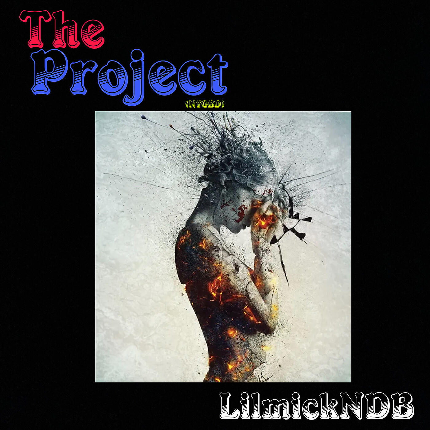 Релиз The Project (Nygbd)