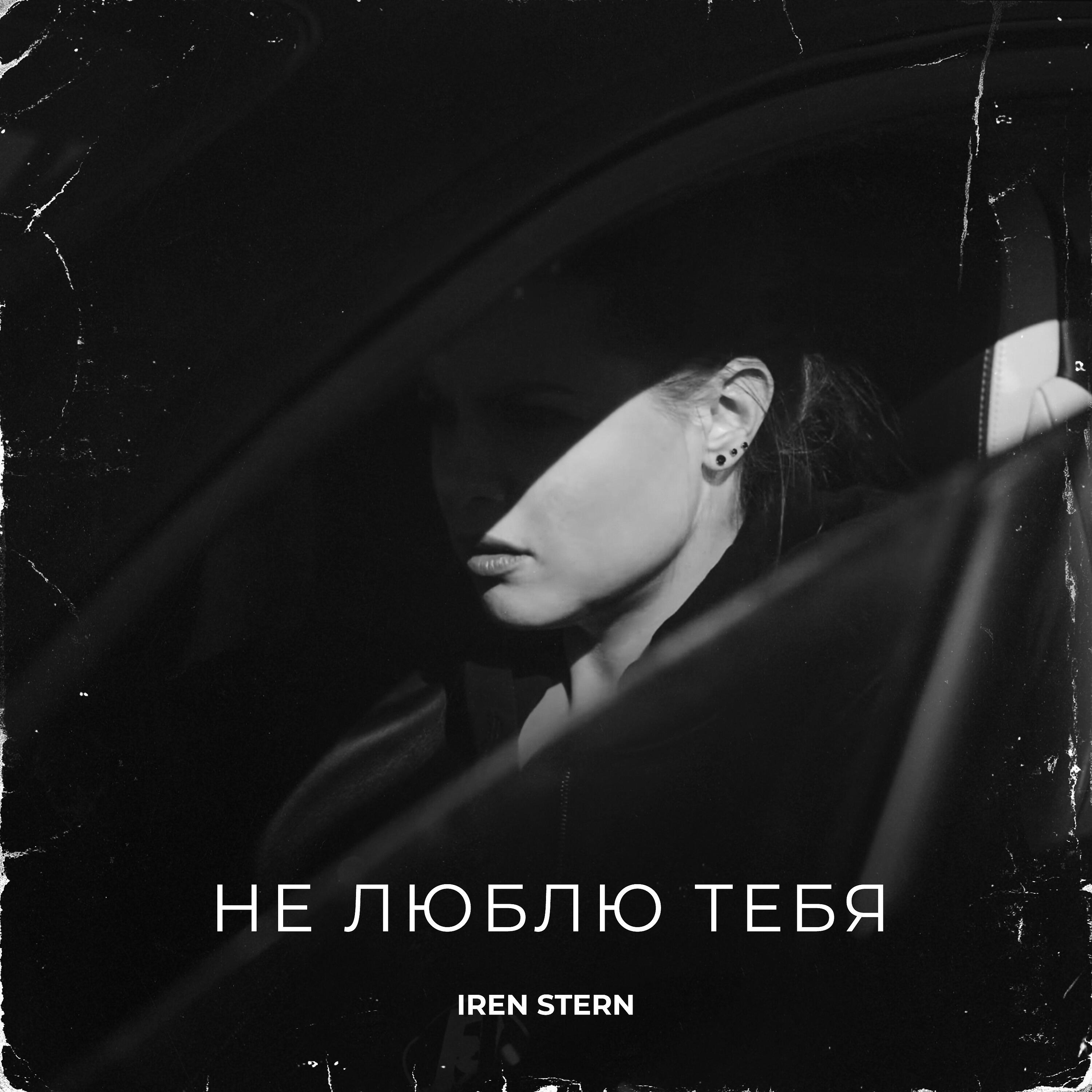 Постер альбома Не люблю тебя