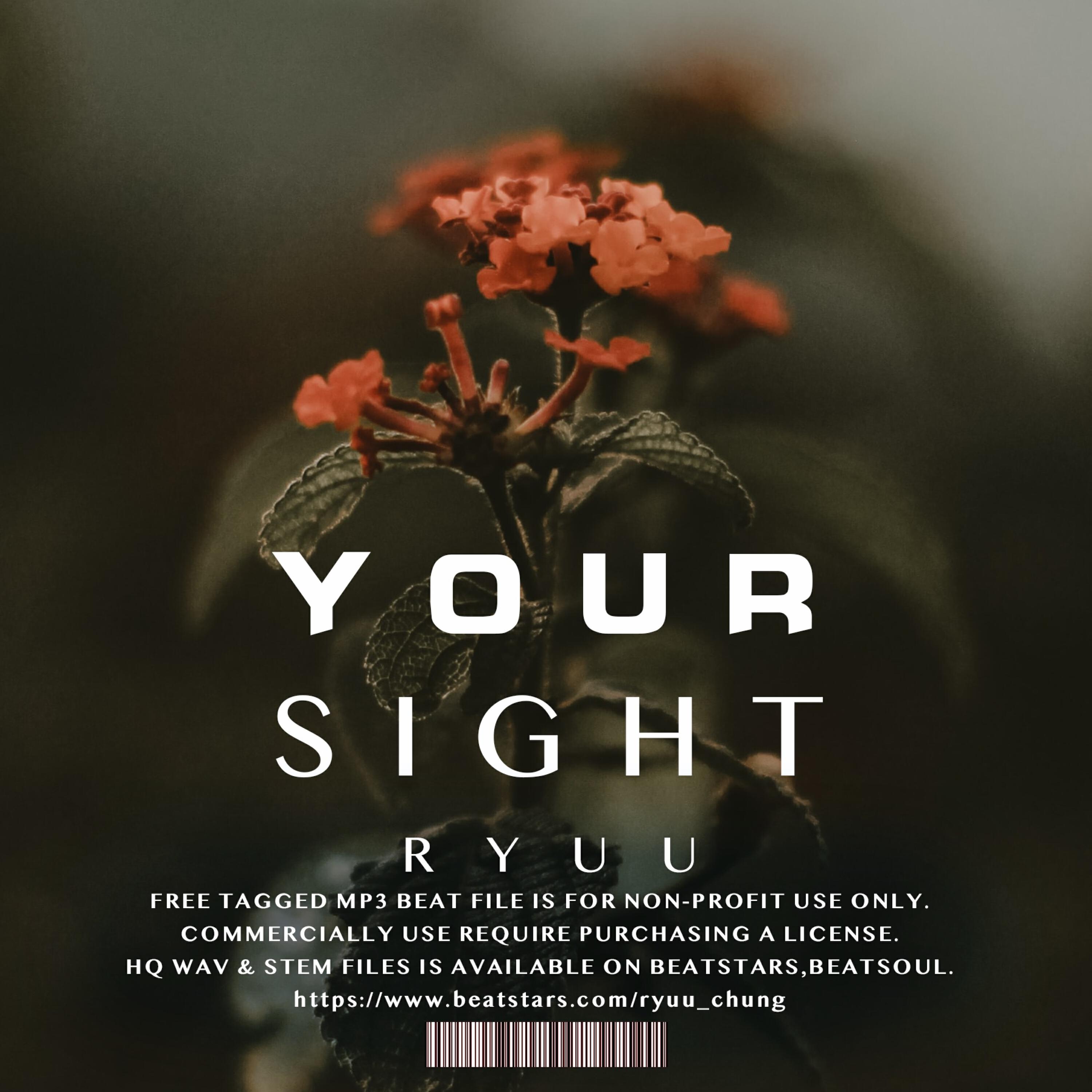 Релиз In Your Sight