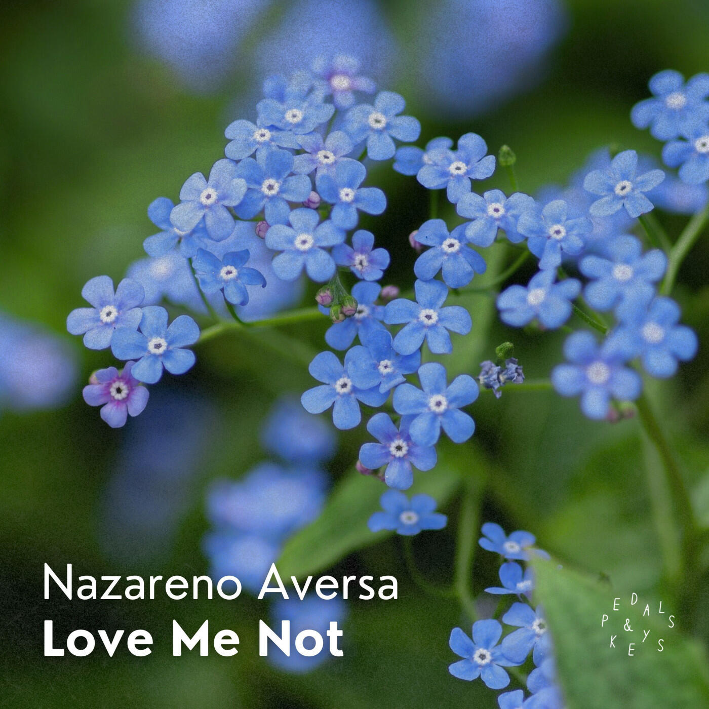 Релиз Love Me Not (Piano Arrangement)