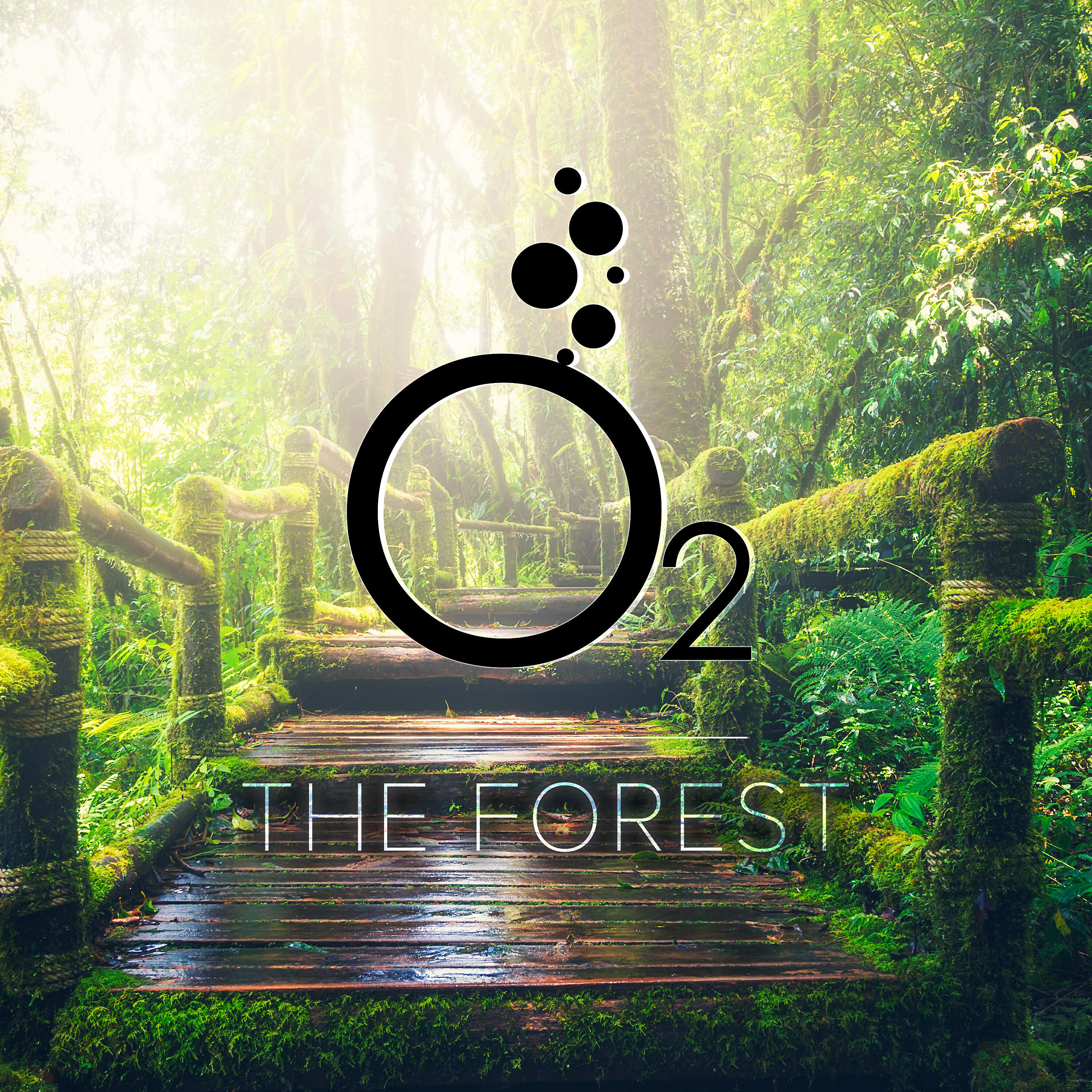 Скачать песню O2 - The Forest (Original Mix) бесплатно в MP3 для Android и iOS