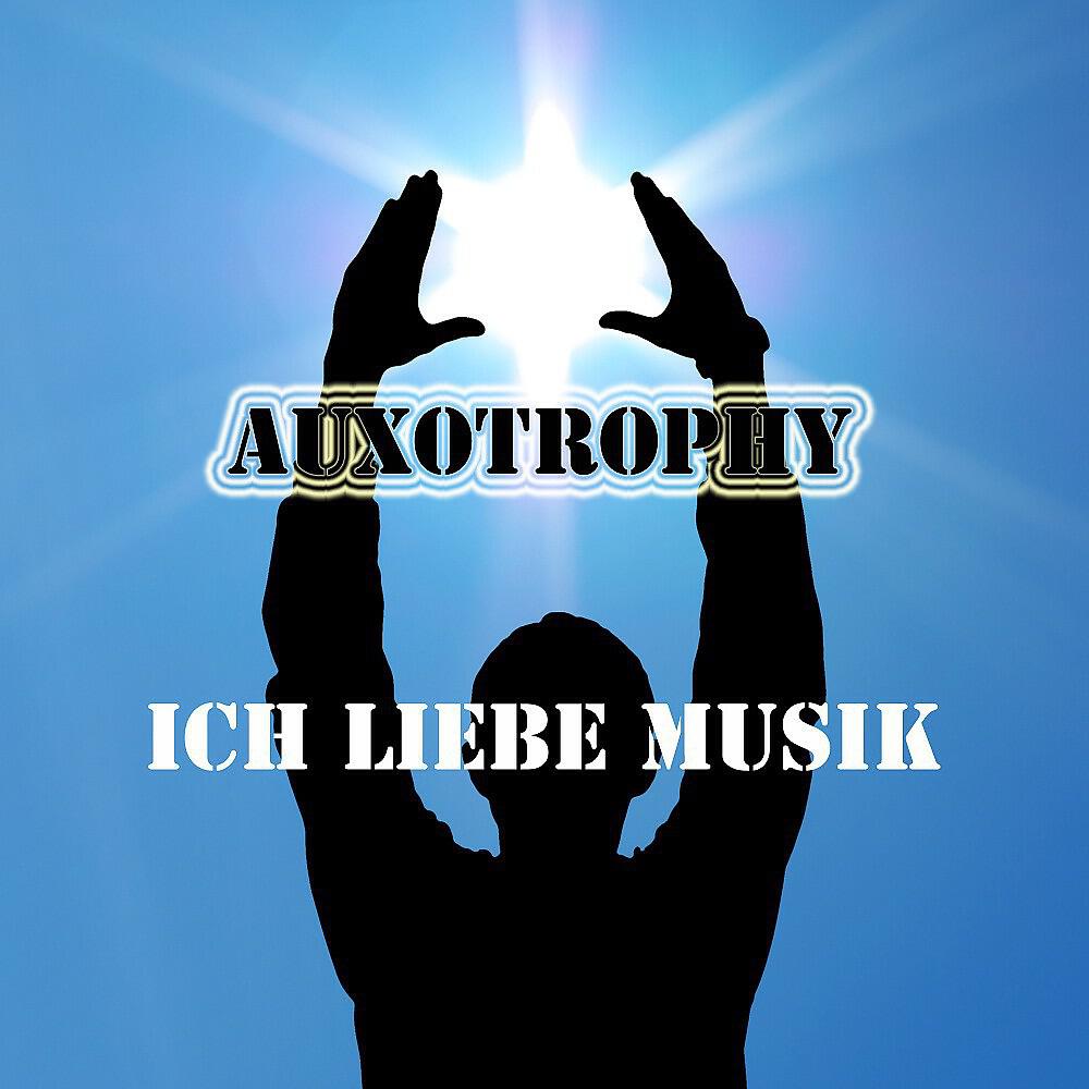 Релиз Ich liebe Musik (Original Mix)