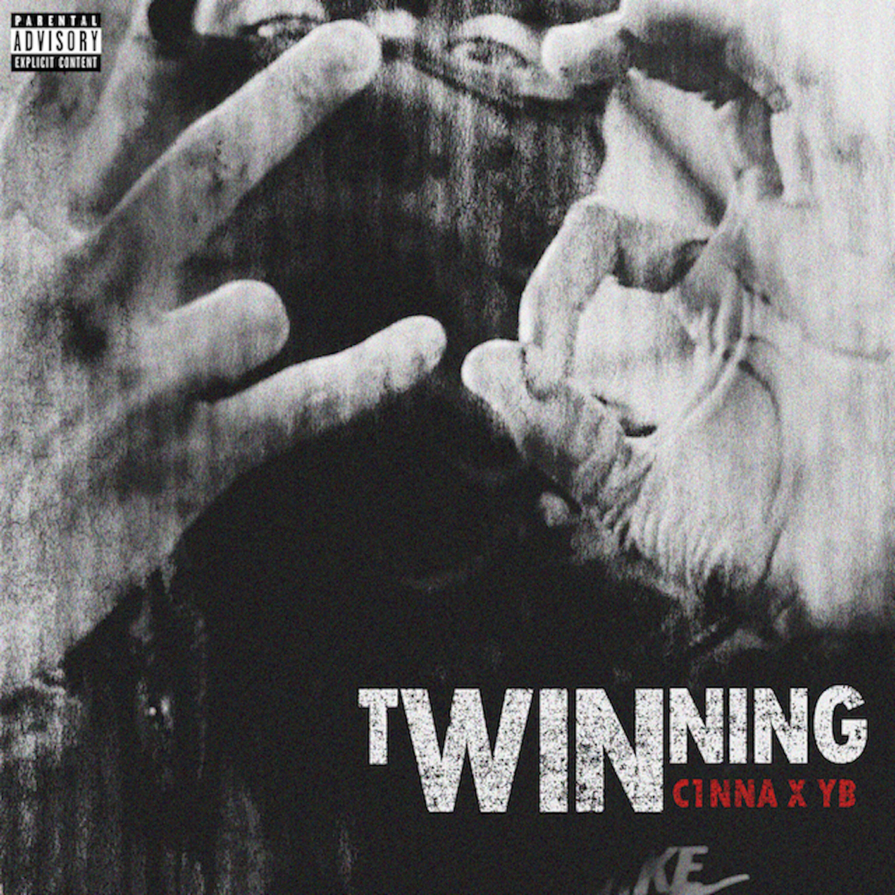 Релиз Twinning