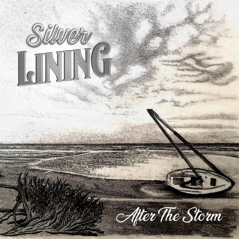 Релиз After the Storm