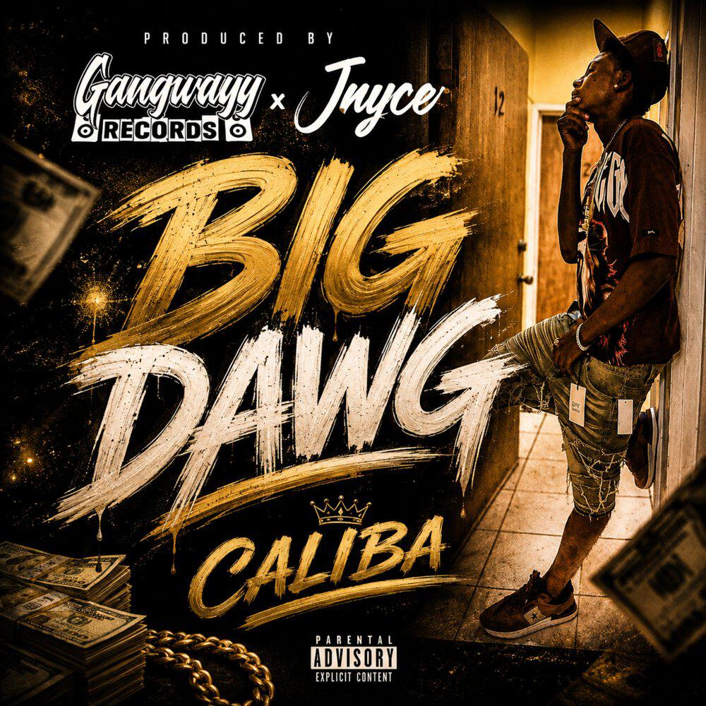 Релиз Big Dawg