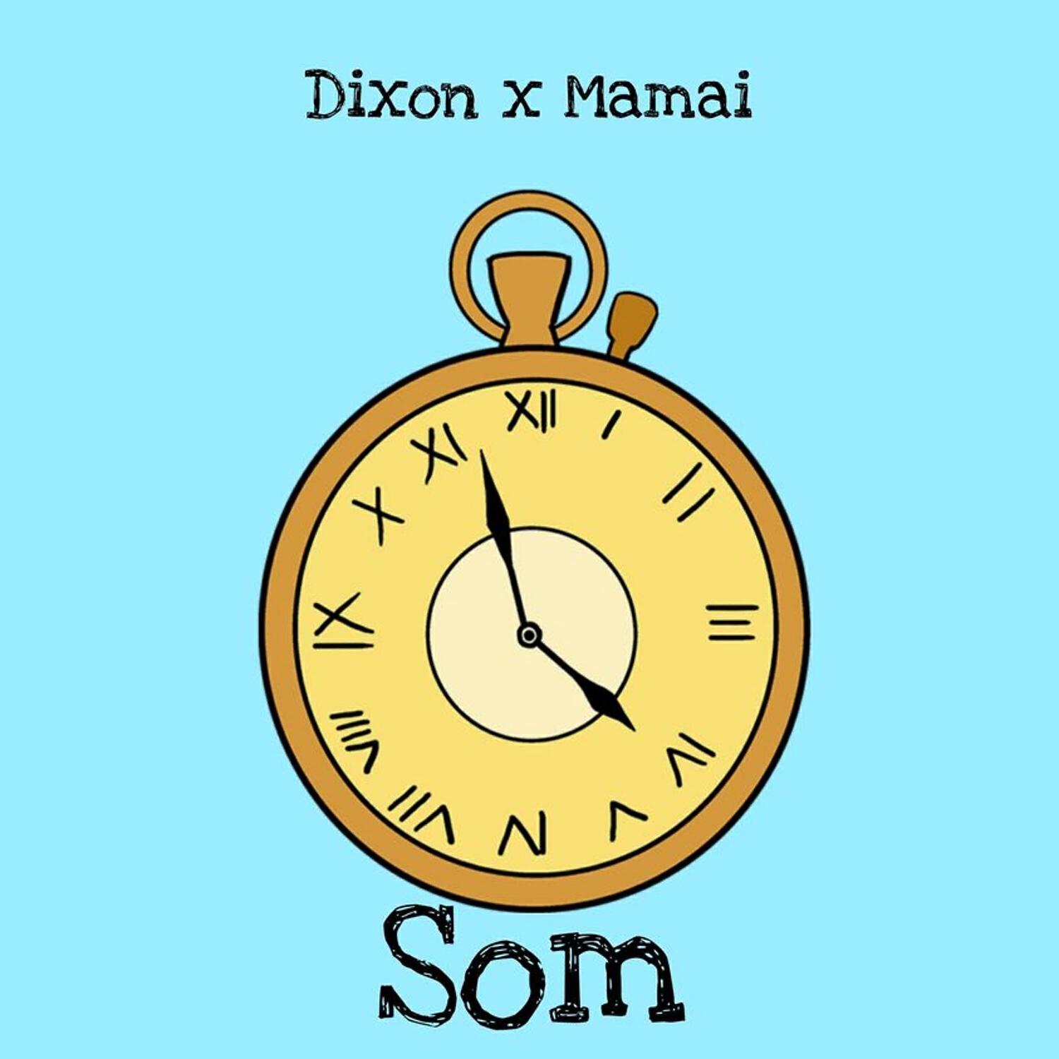 Релиз som