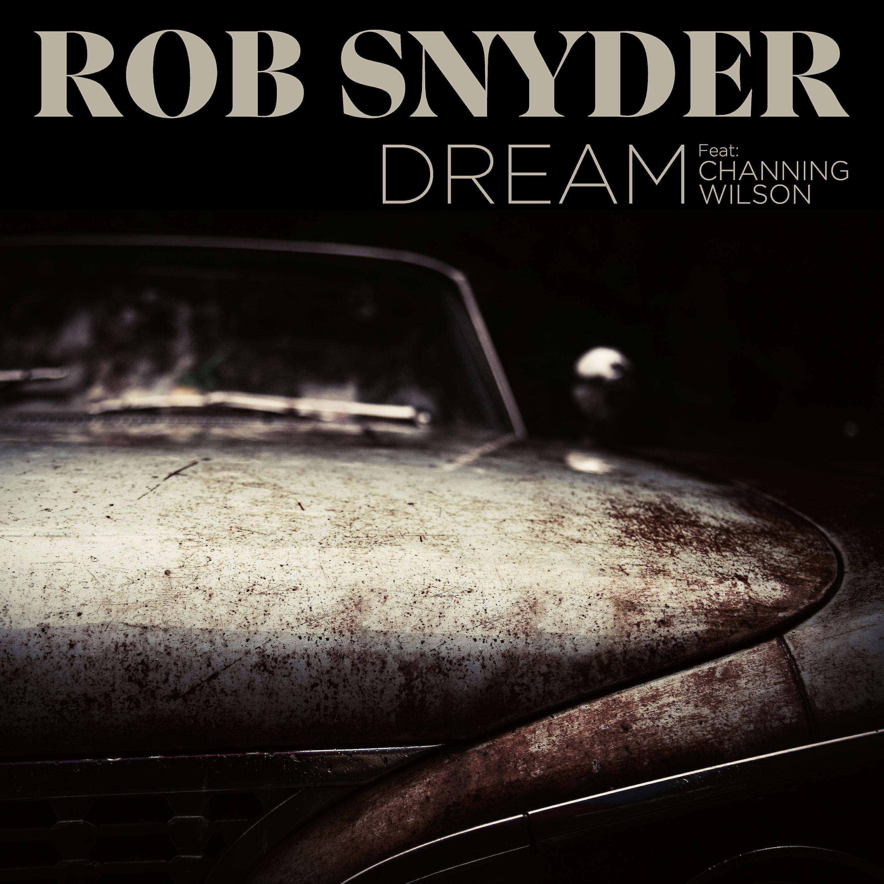 Релиз Dream (feat. Channing Wilson)