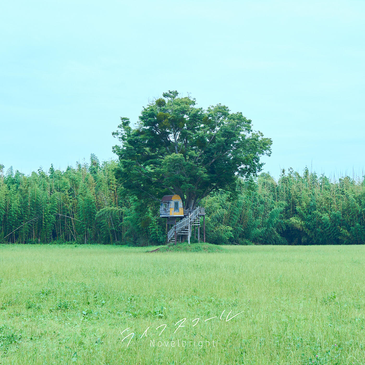 Релиз Life Squall