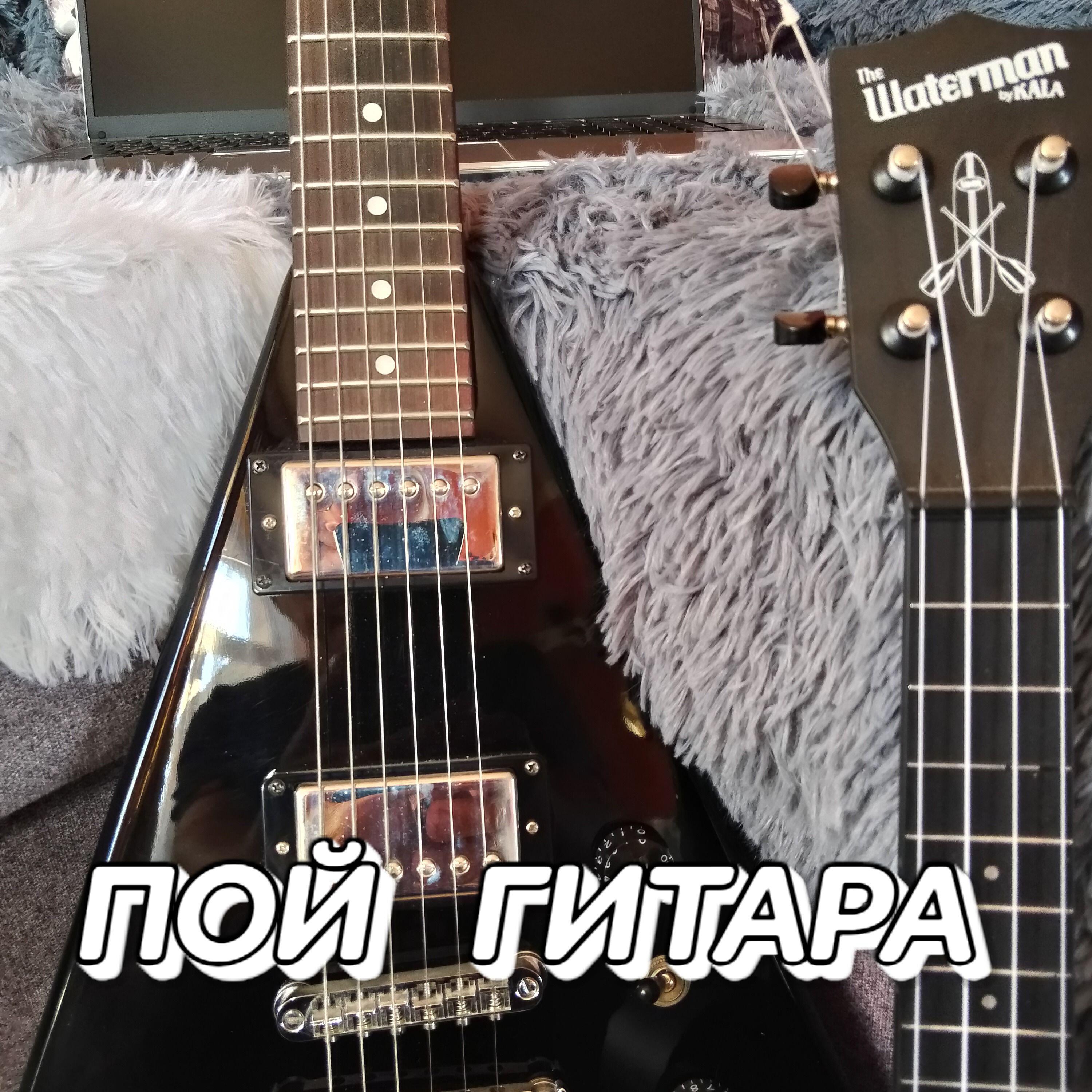 Постер альбома ПОЙ  ГИТАРА