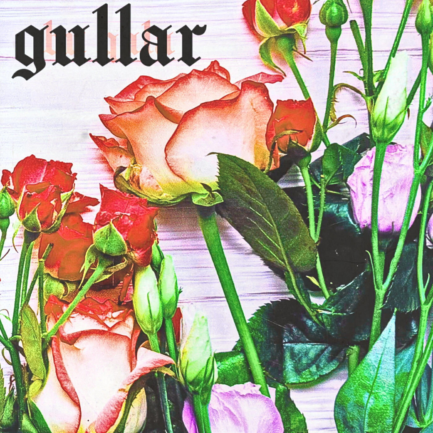Релиз Gullar