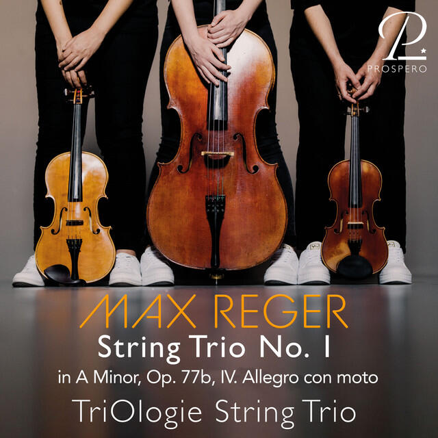 Постер альбома Max Reger: String Trio No. 1 in A Minor, Op. 77b: IV. Allegro con moto