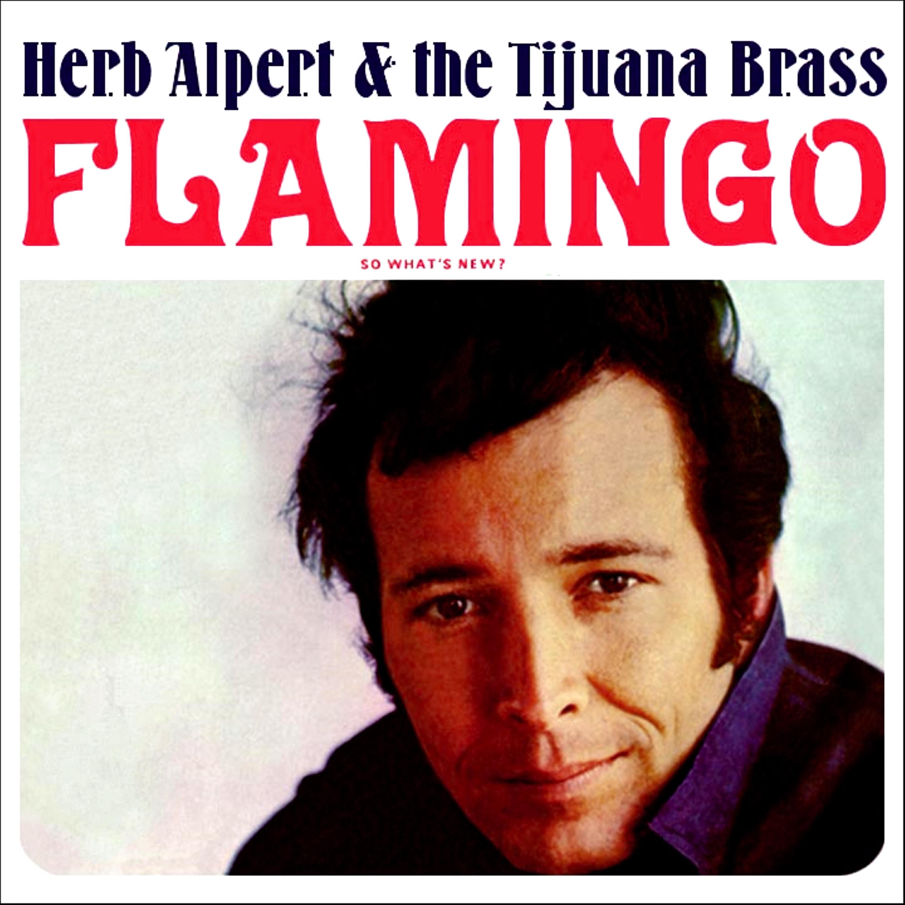 Релиз Flamingo / So What's New ?