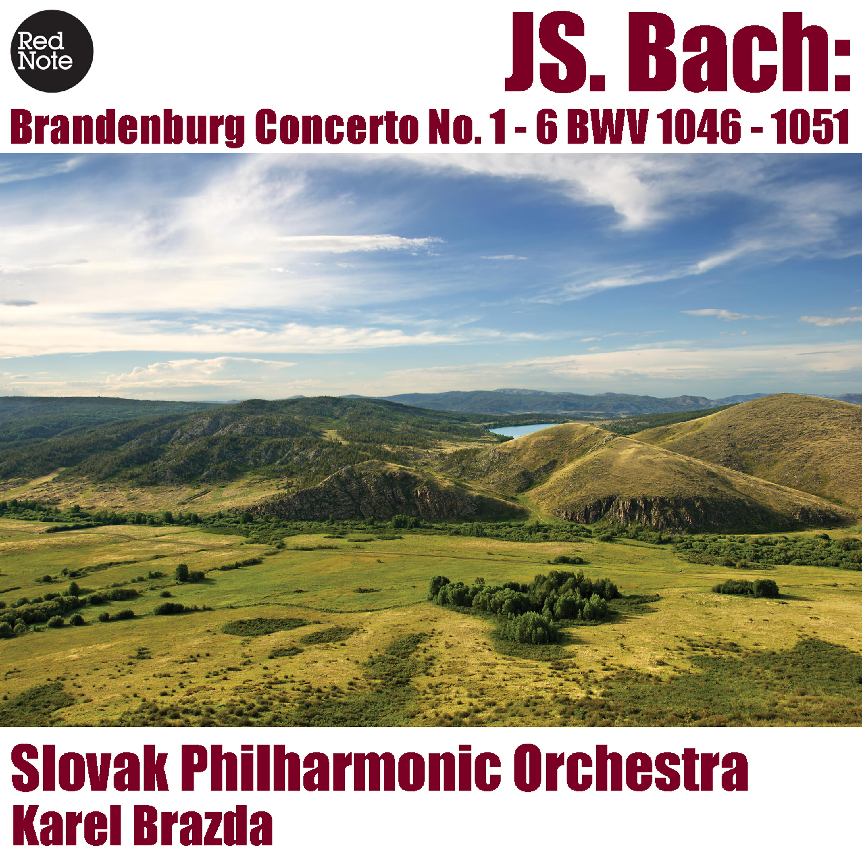 Релиз Bach: Brandenburg Concerto No. 1 - 6 BWV 1046 - 1051
