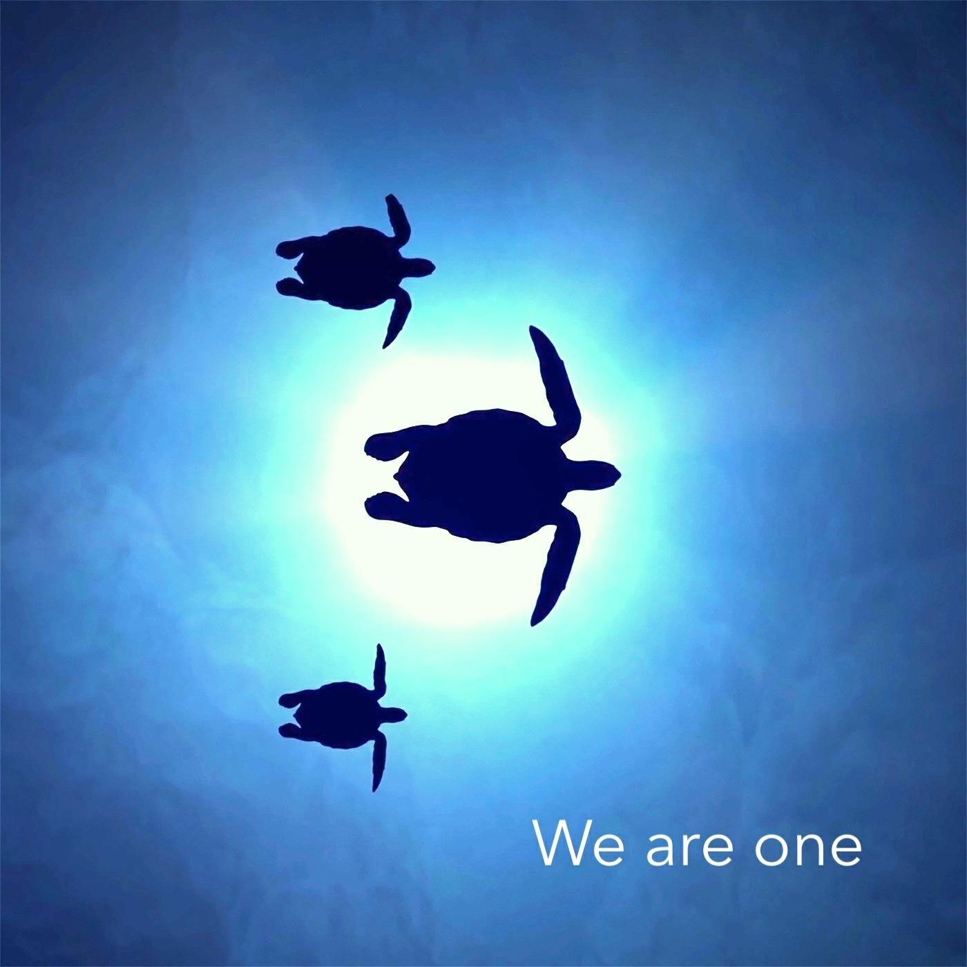 Релиз We Are One