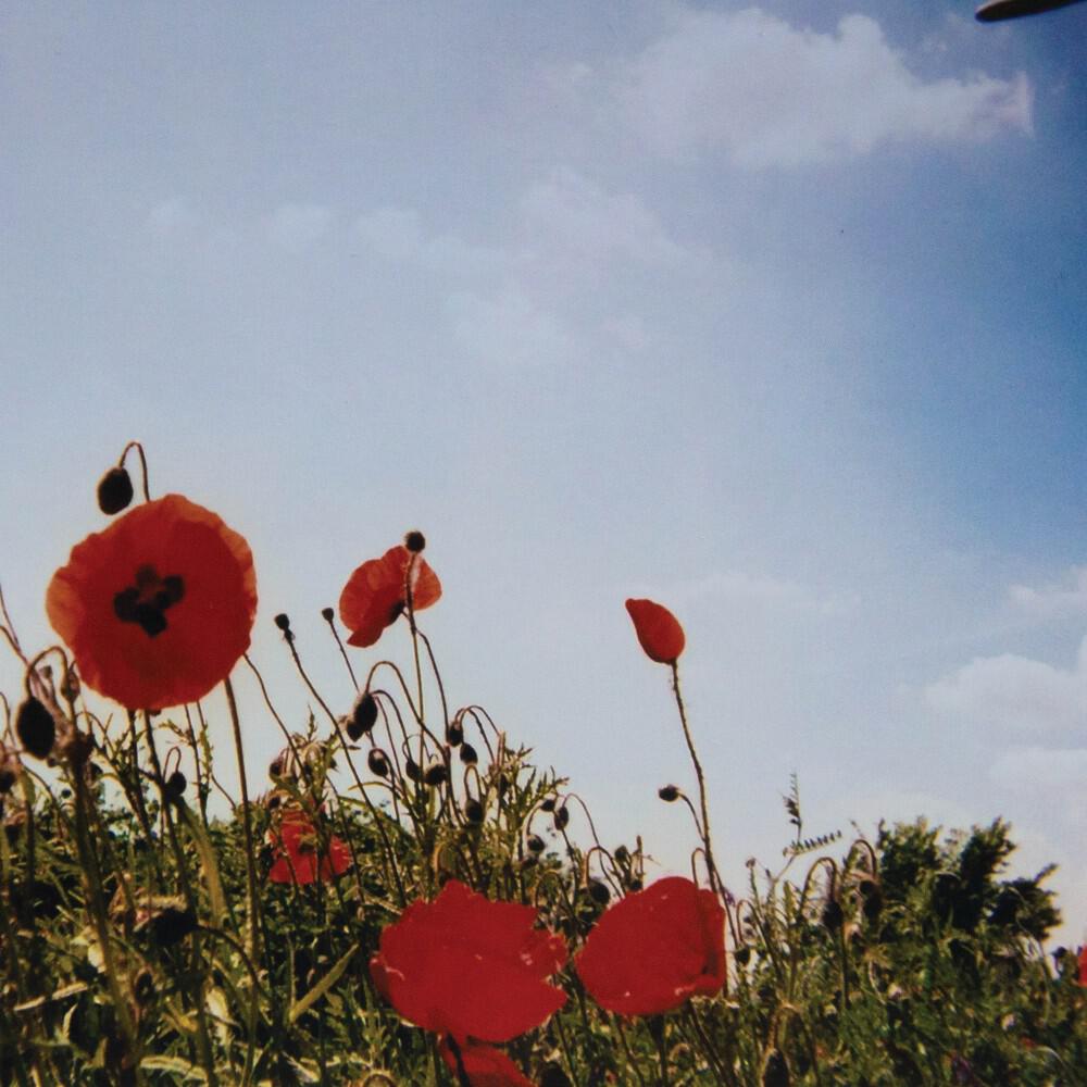 Релиз Nasleep