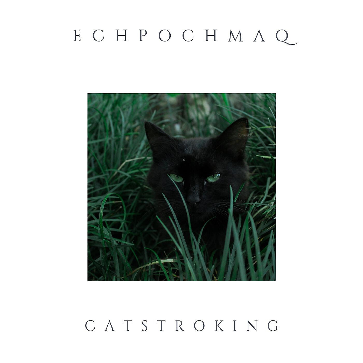 Релиз Catstroking