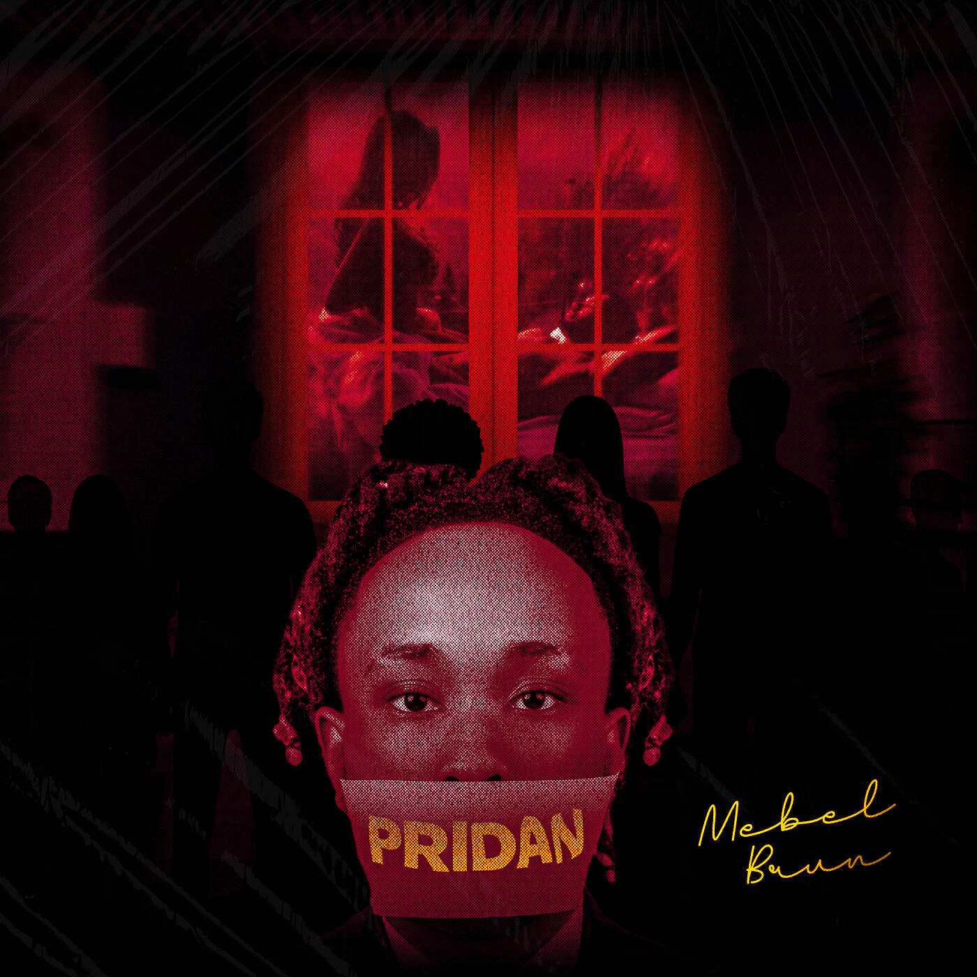 Релиз Pridan