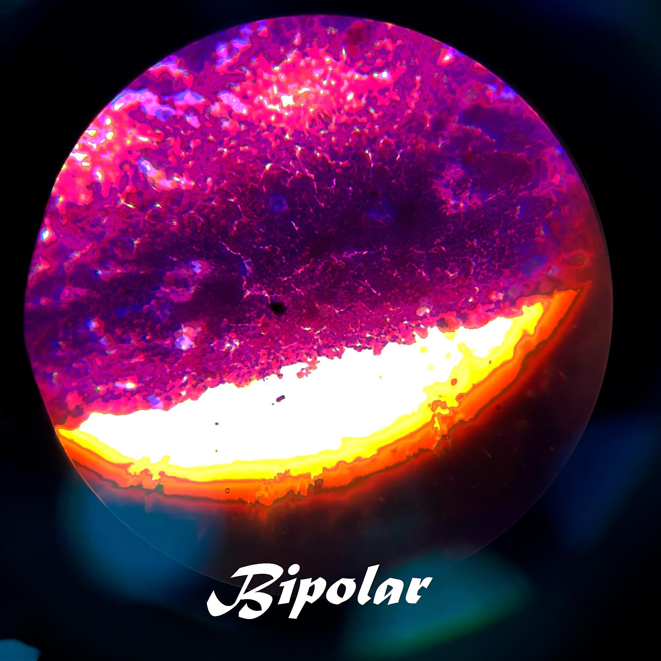 Постер альбома Bipolar