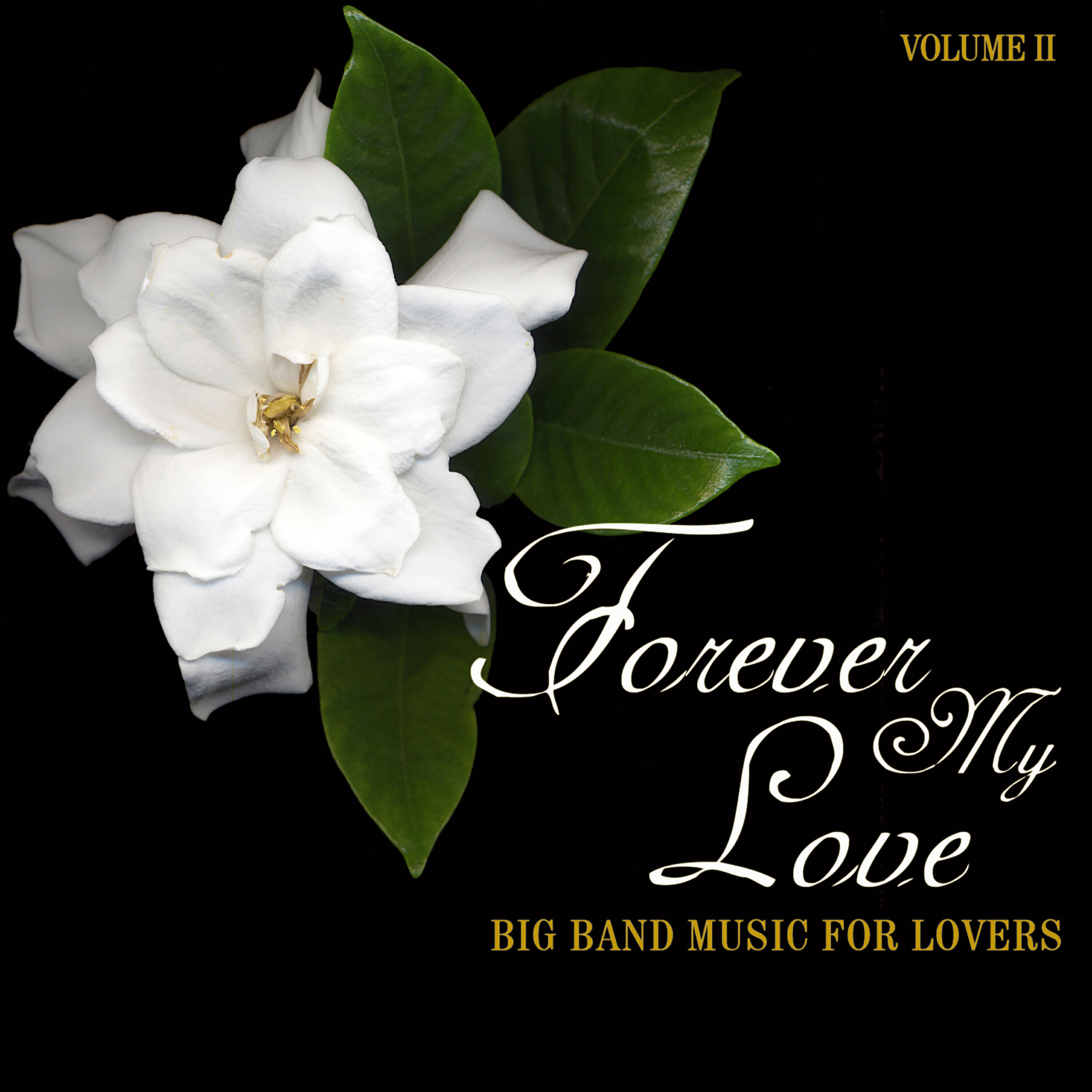 Релиз Big Band Music for Lovers: Forever My Love, Vol. 2
