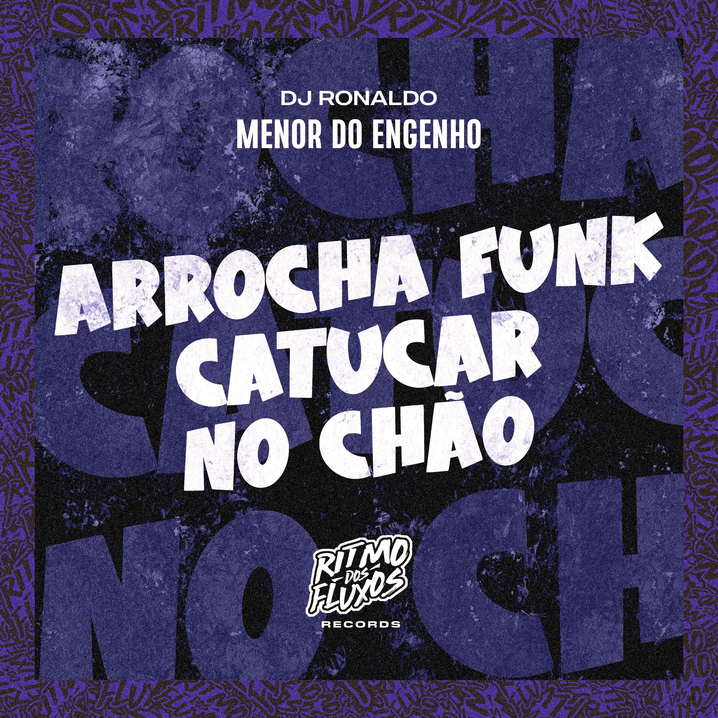 Релиз Arrocha Funk Catucar no Chão