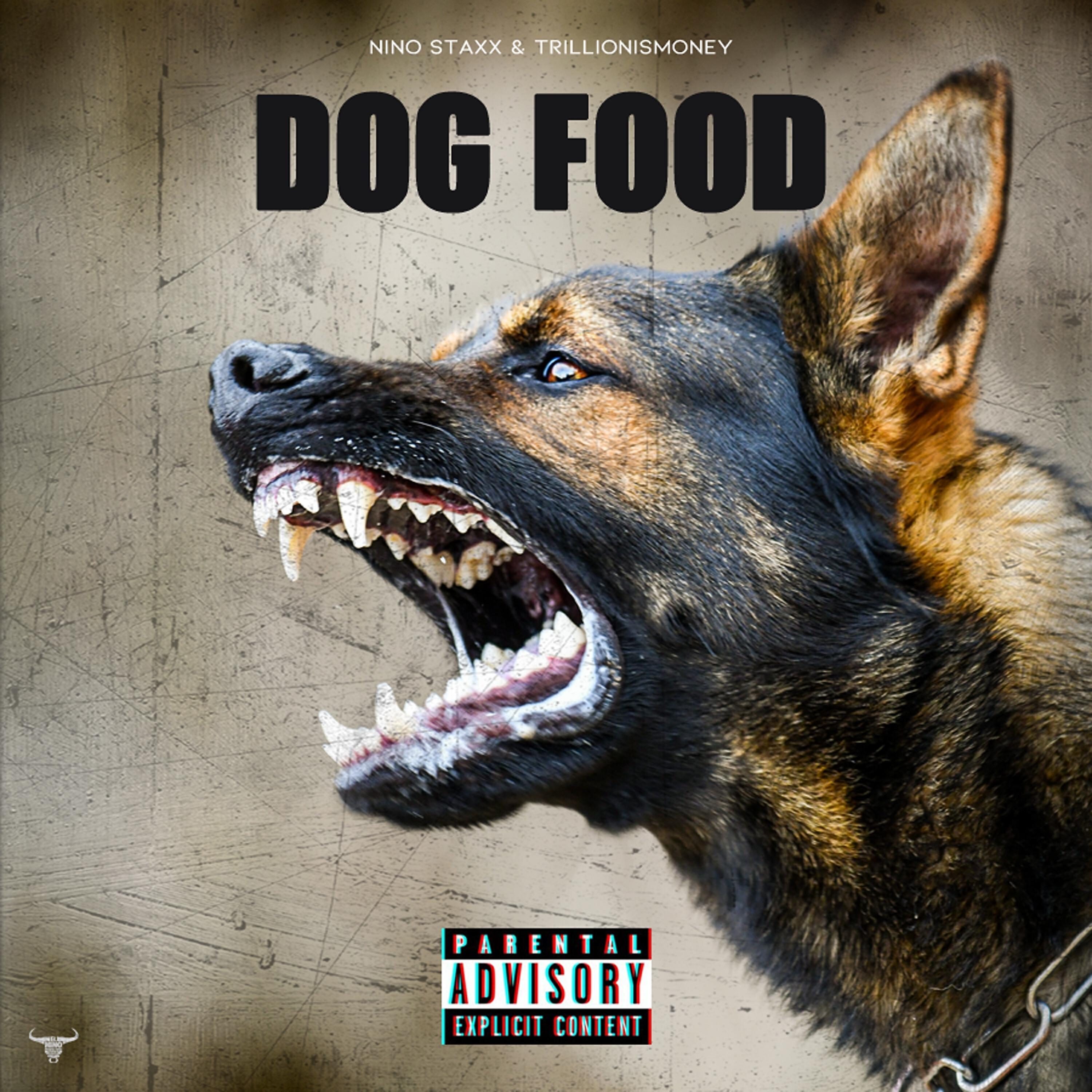 Релиз Dog Food