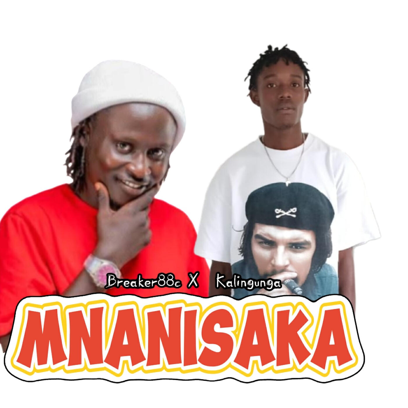 Релиз Mnanisaka