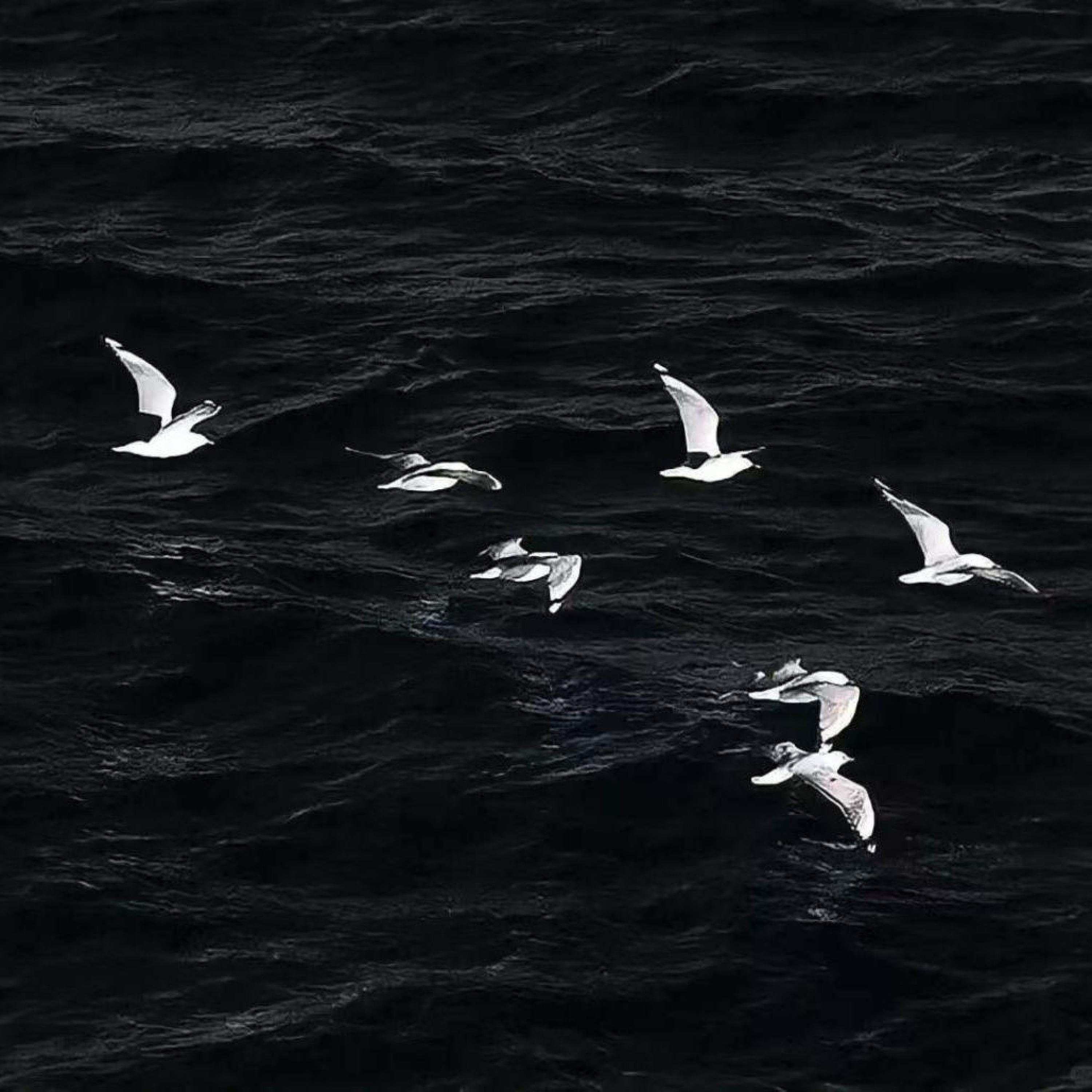 DR复燃