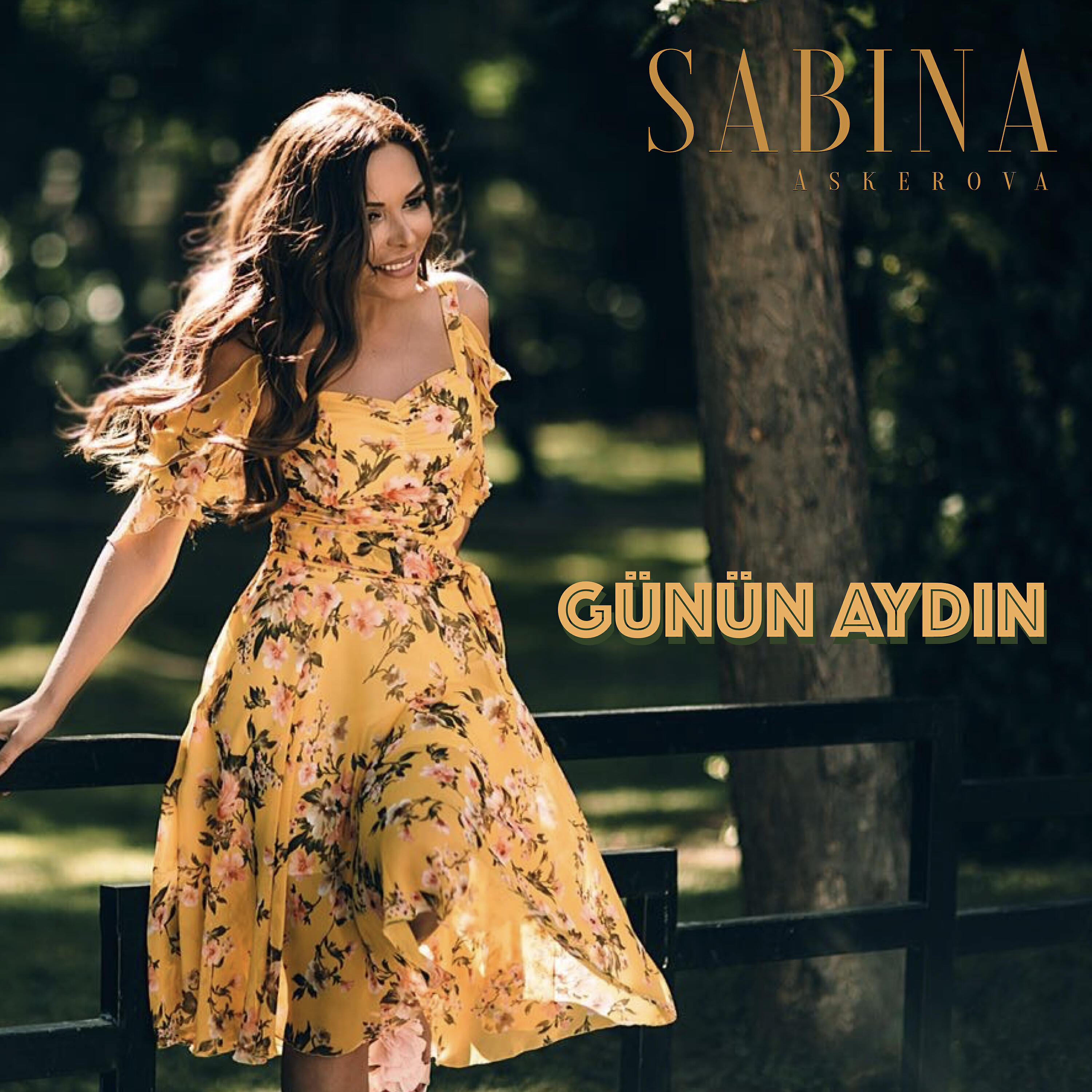 Релиз Günün Aydın