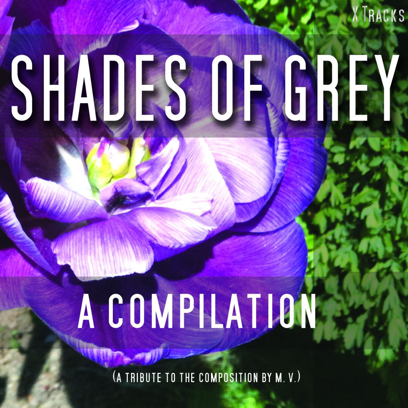 Релиз Shades of Grey - A Fifty Track Compilation