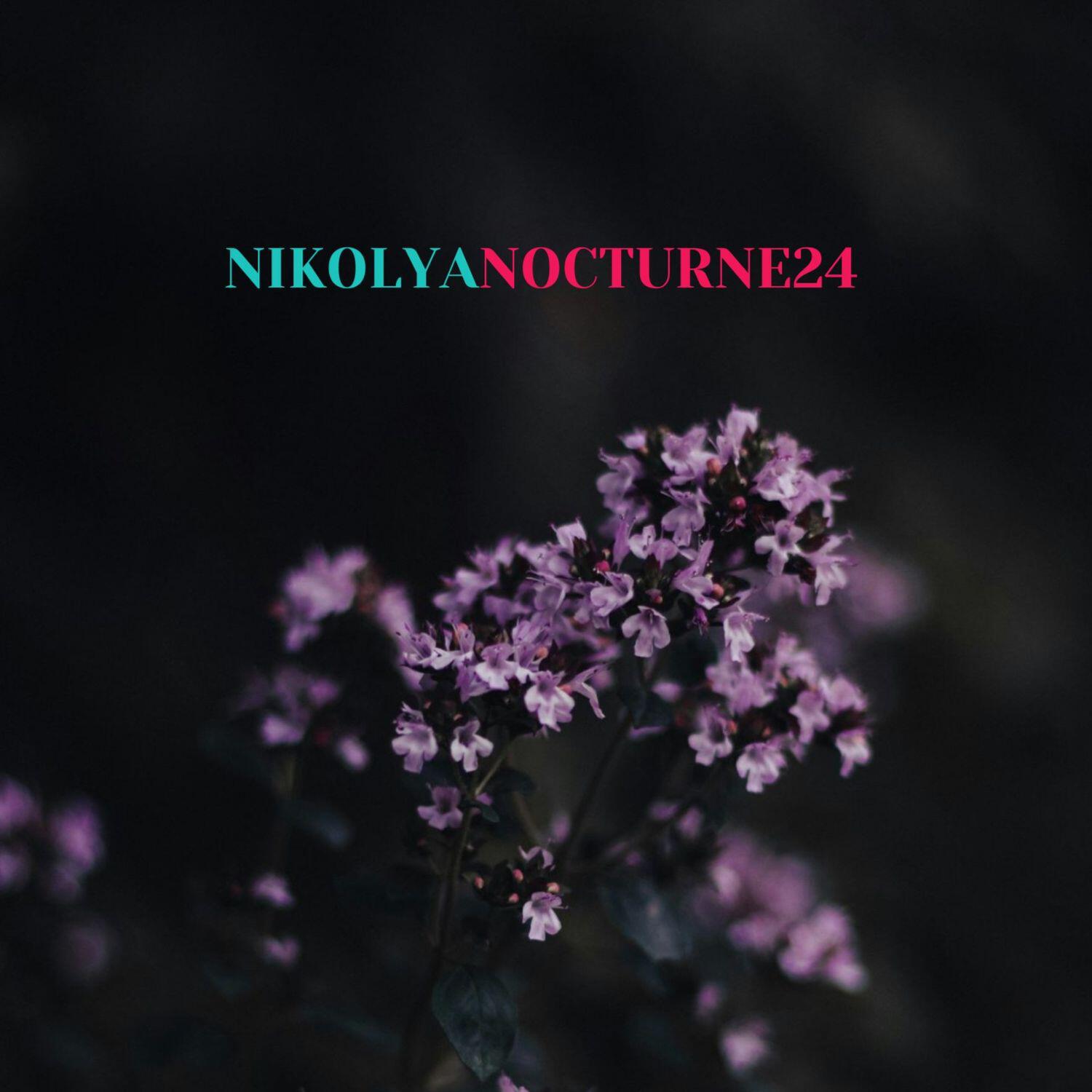 Релиз Nocturne 24