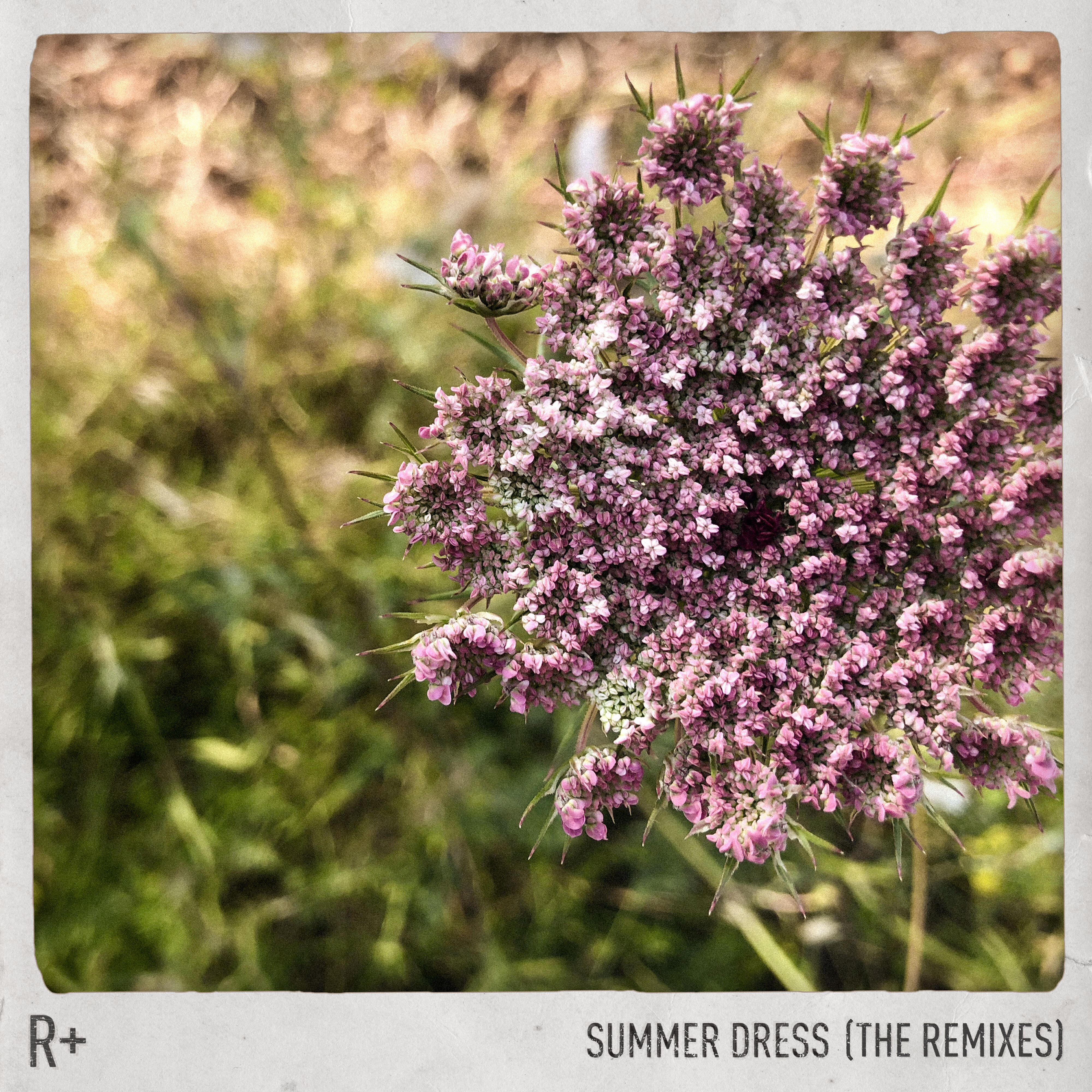 Релиз Summer Dress (Remixes)